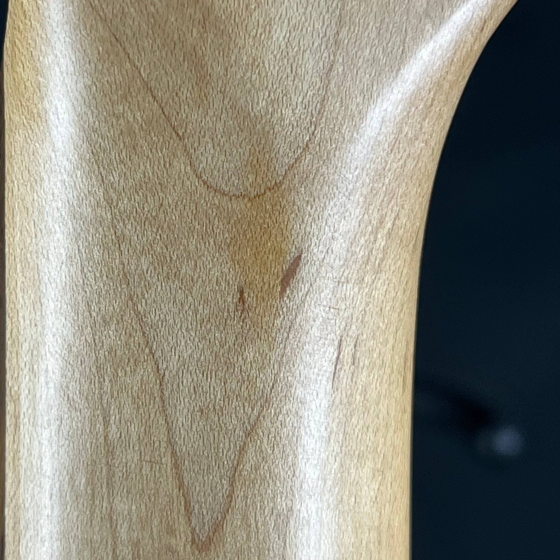 Bacchus Universe Series Stratocaster