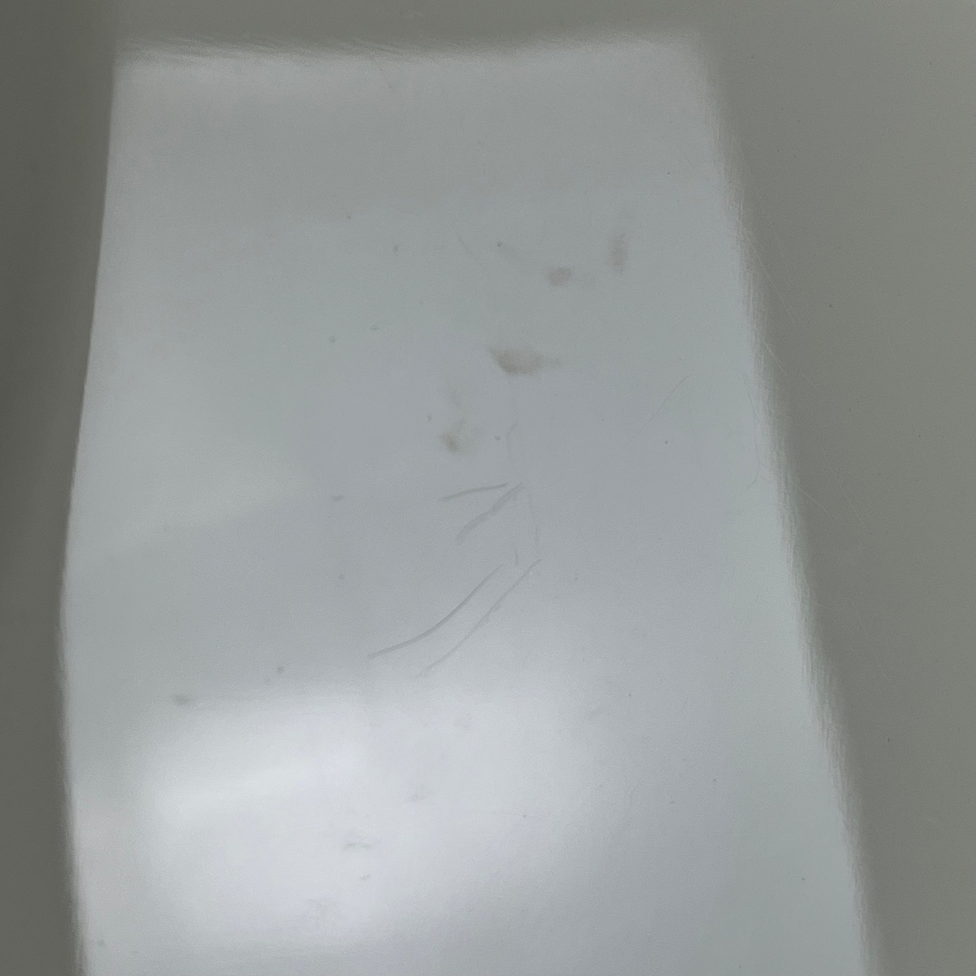 Bacchus Universe Series Stratocaster