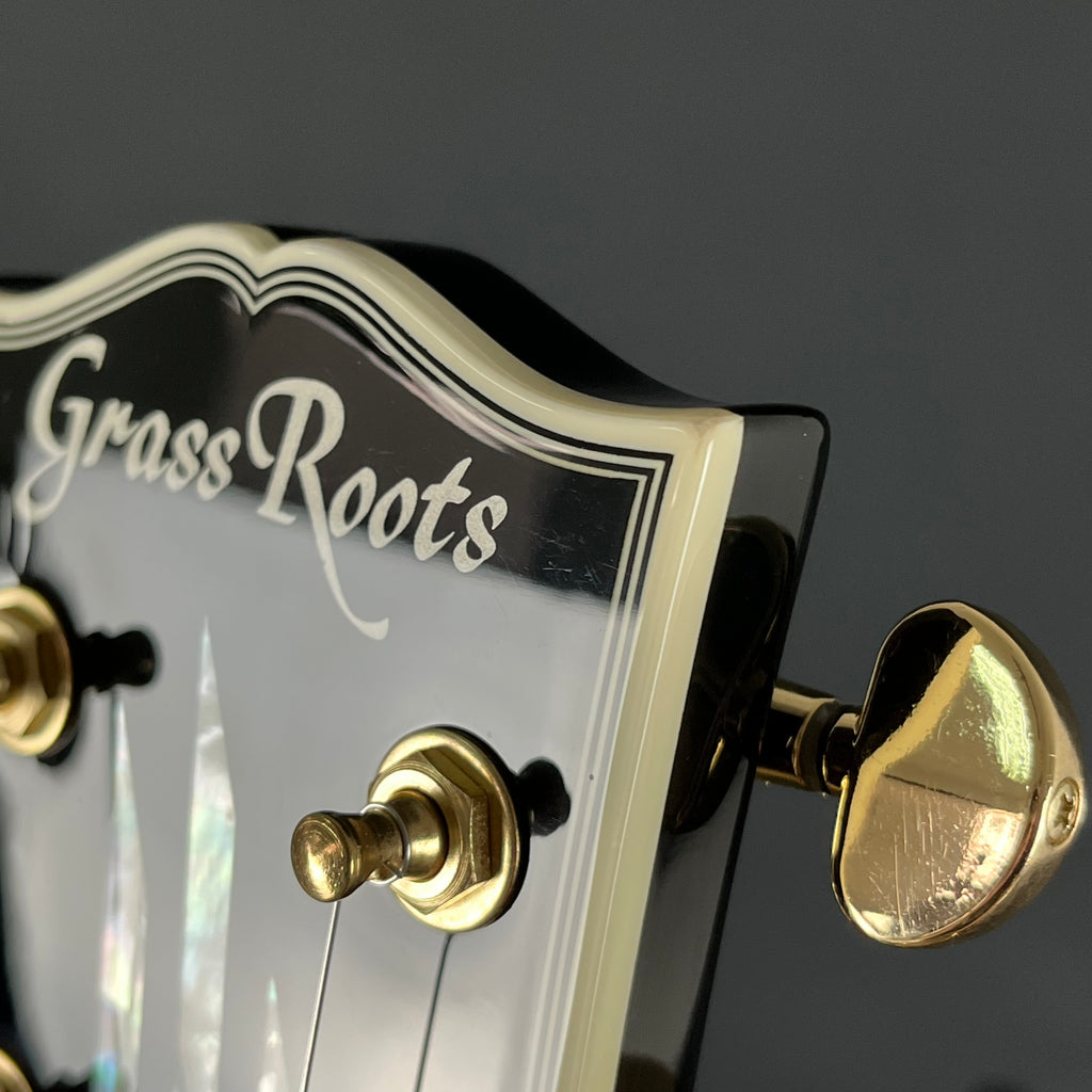 GrassRoots G-LP-60C