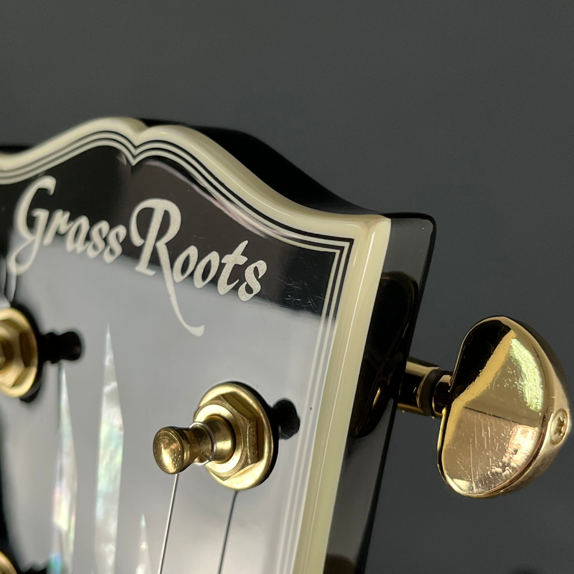 GrassRoots G-LP-60C