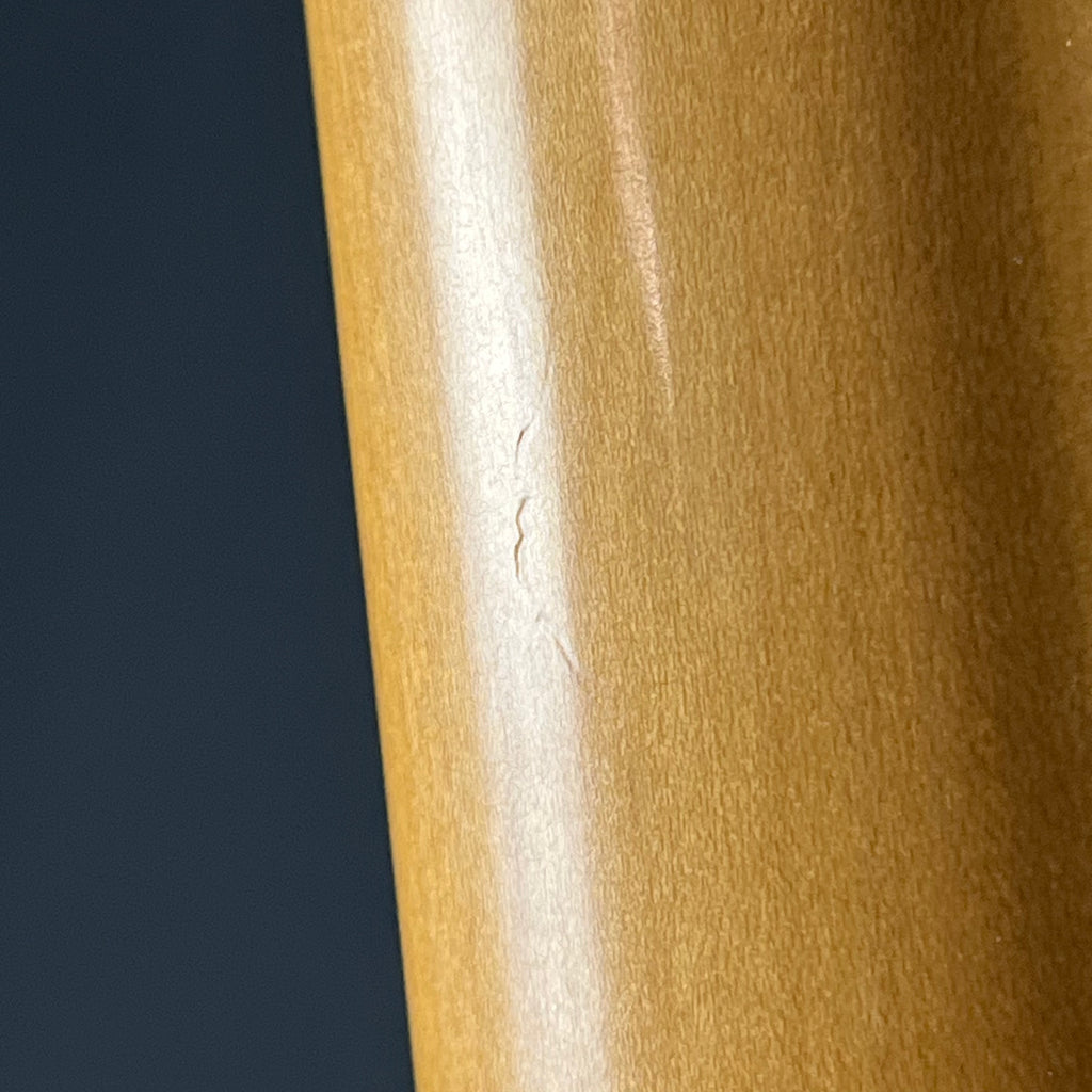 Fender Gold Foil Jazzmaster