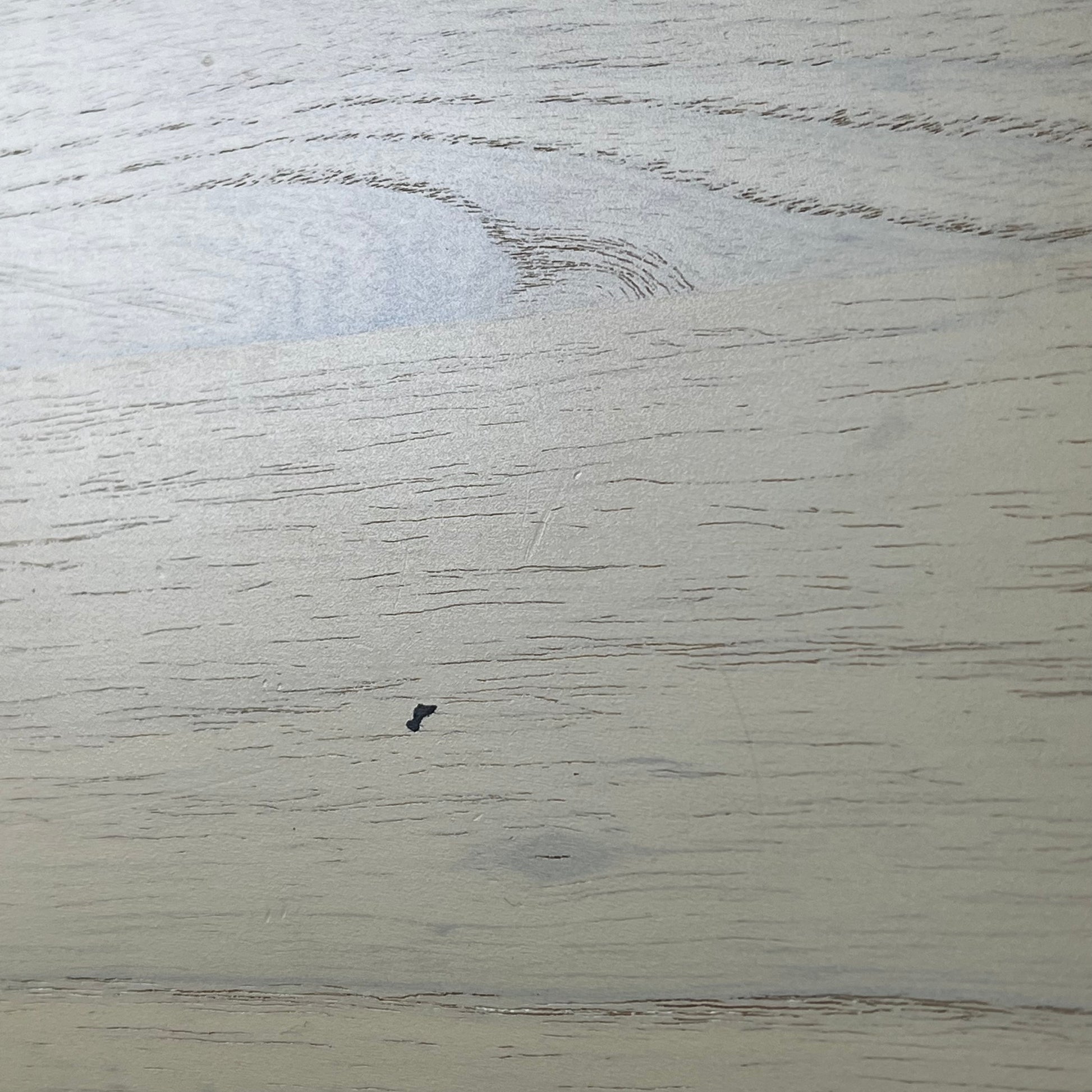 Bacchus Craft Series Bass