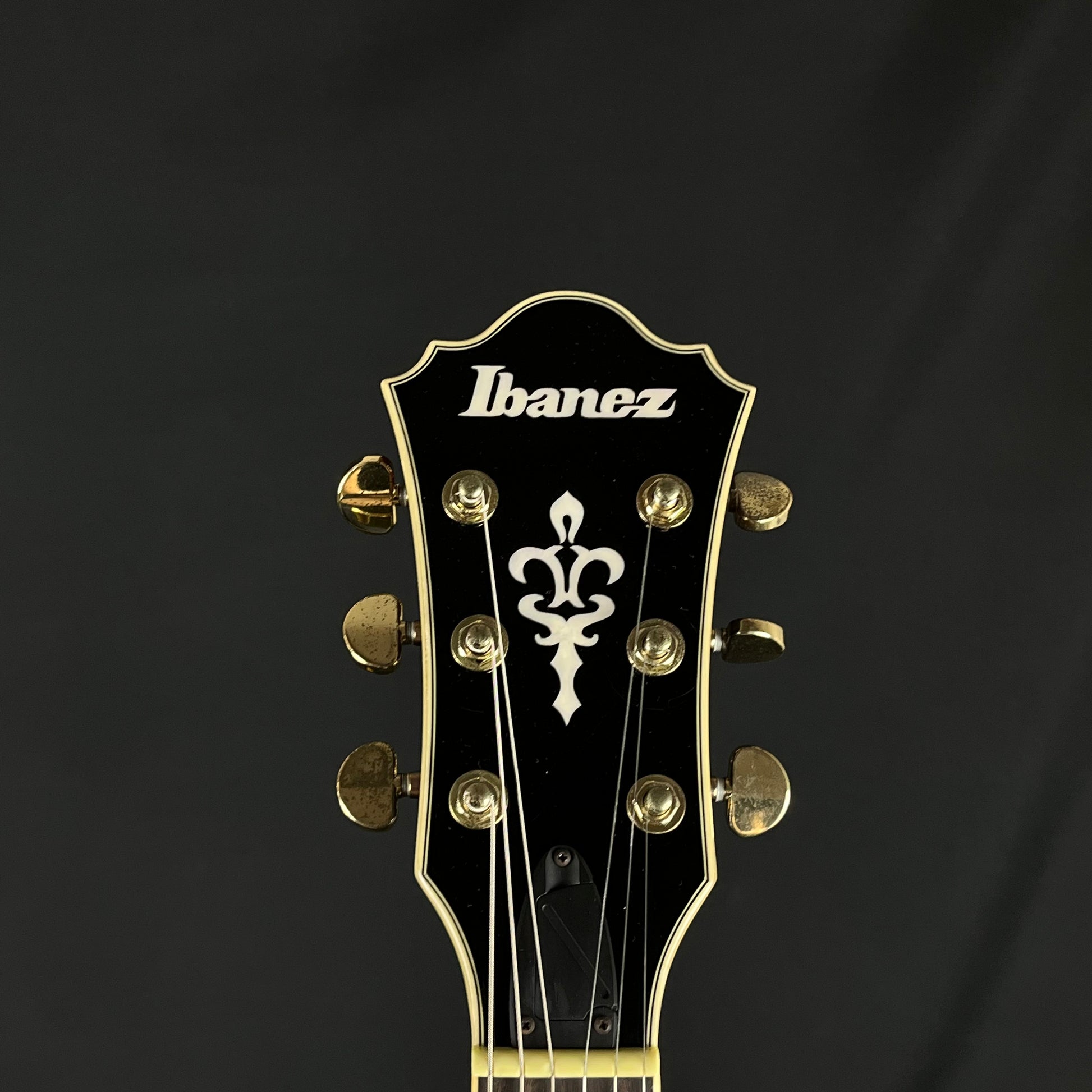 IBANEZ AG950A-DBS 5B-04