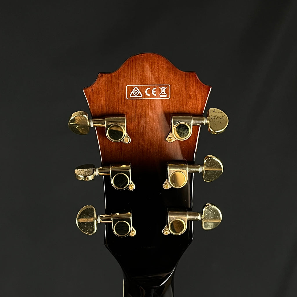 IBANEZ AG950A-DBS 5B-04