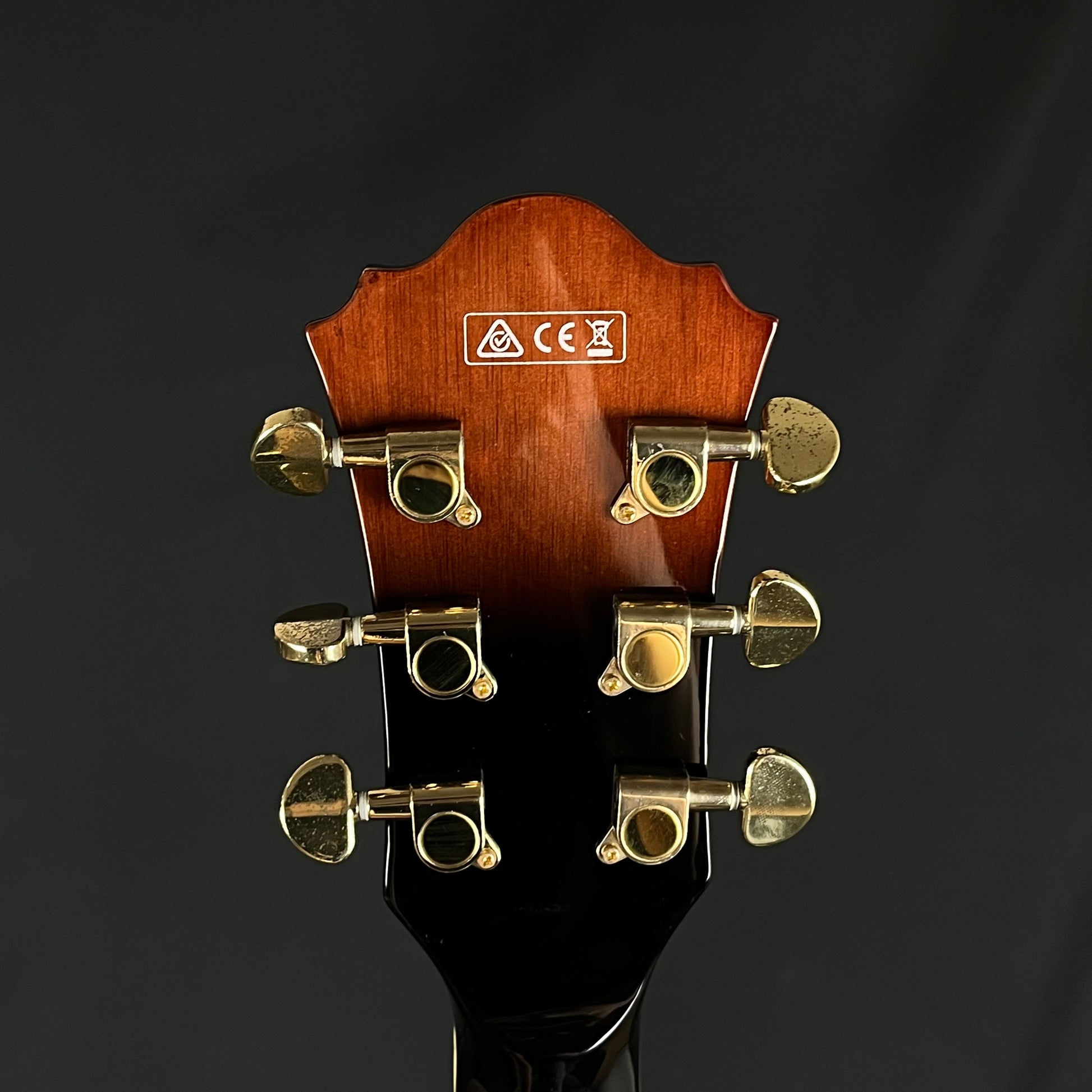 IBANEZ AG950A-DBS 5B-04