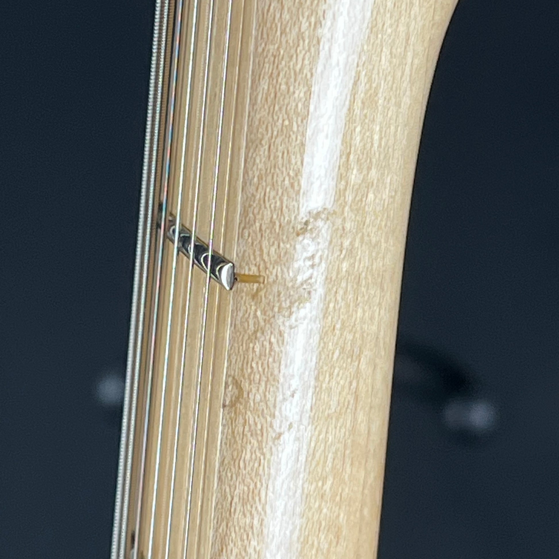 Fernandes Stratocaster