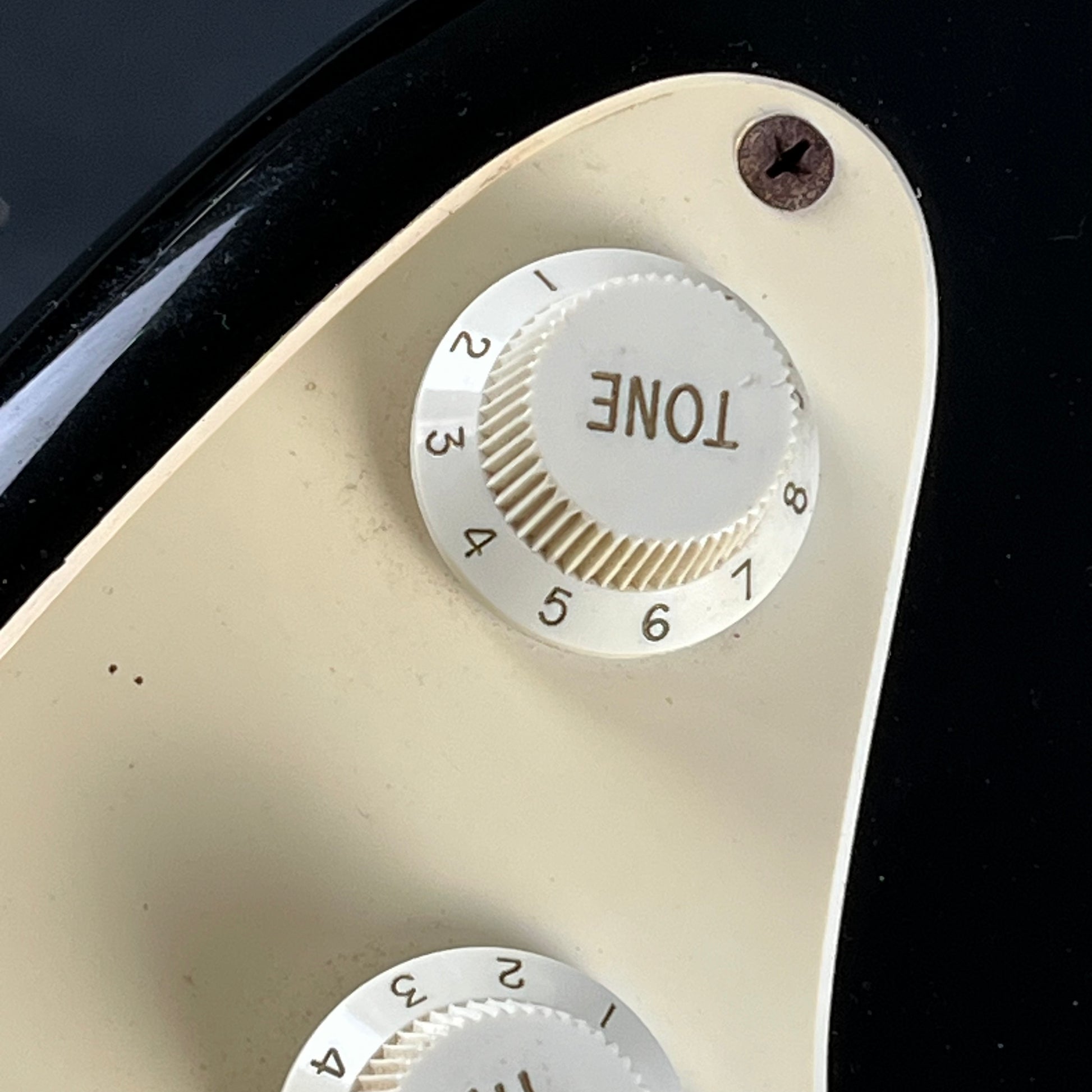 Squier Stratocaster