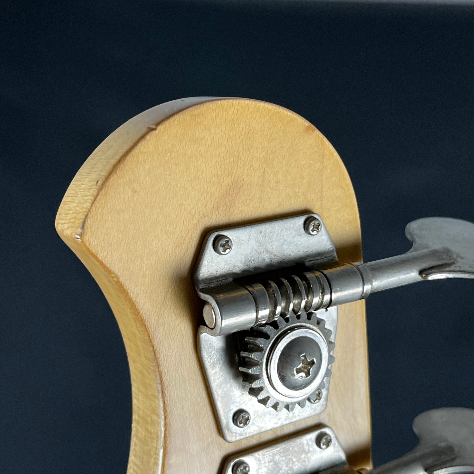 Bacchus Universe Series Jazz Bass