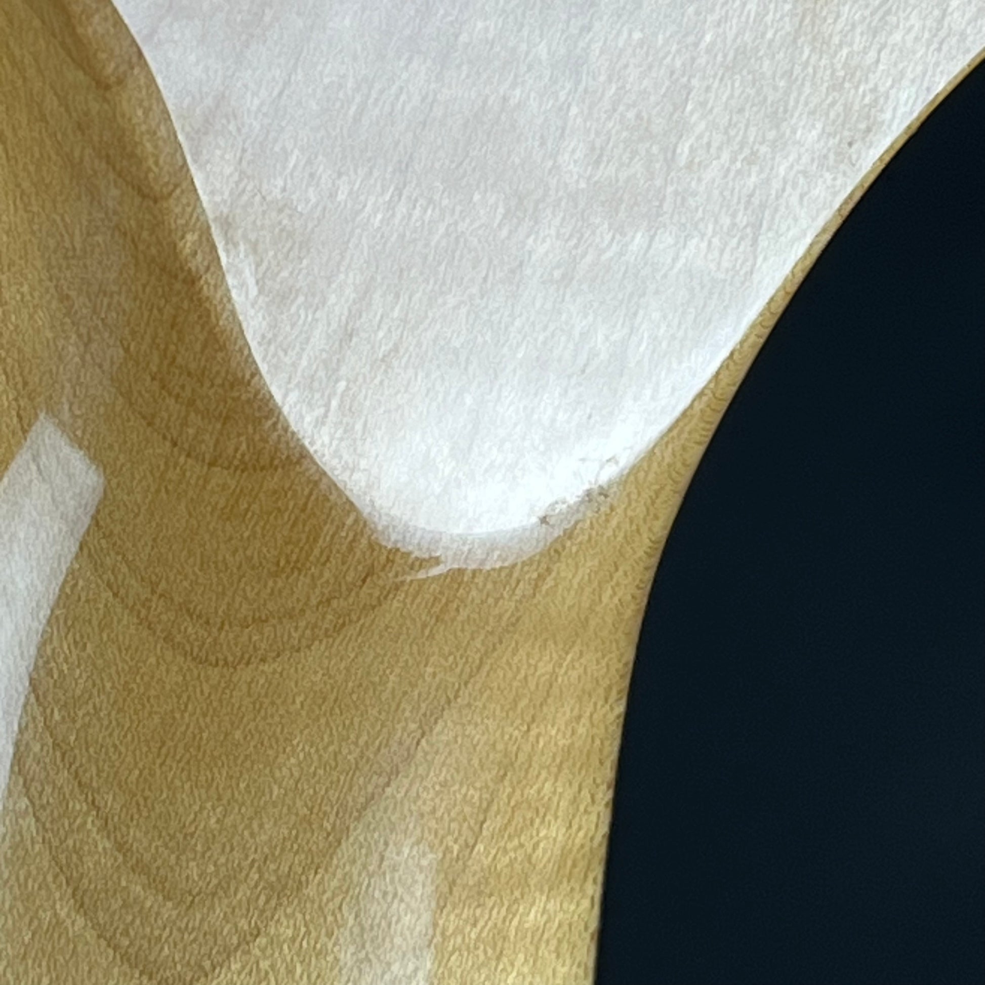 Fernandes Stratocaster