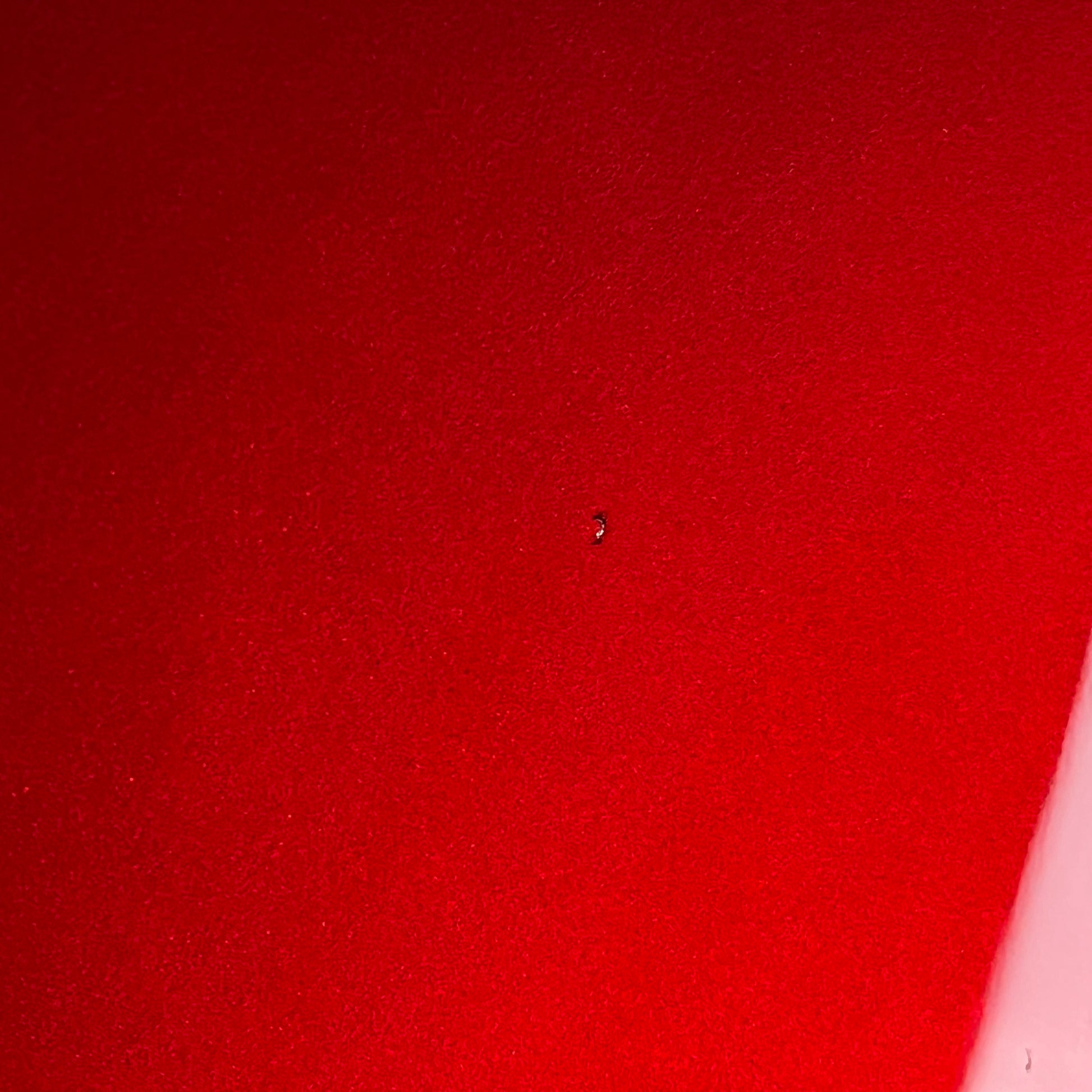 Fernandes Stratocaster