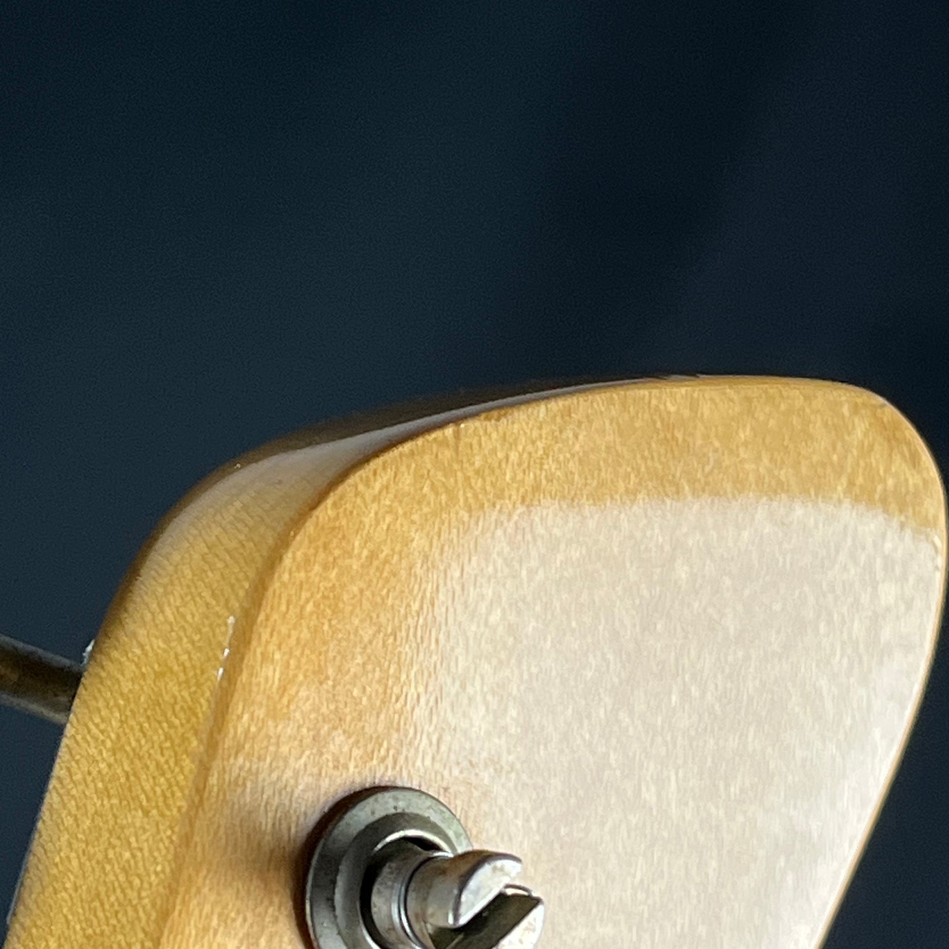 Fernandes Stratocaster