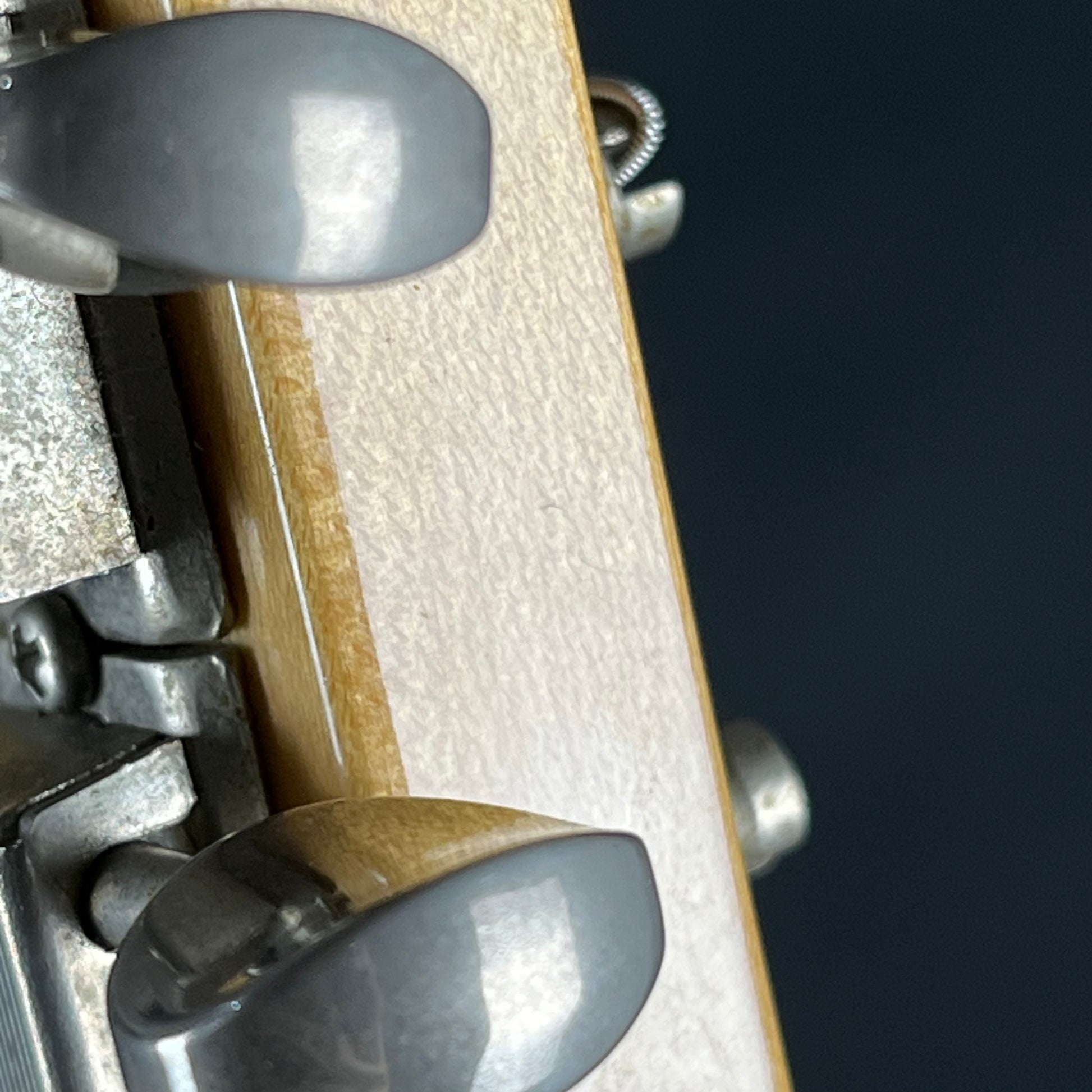 Fernandes Stratocaster