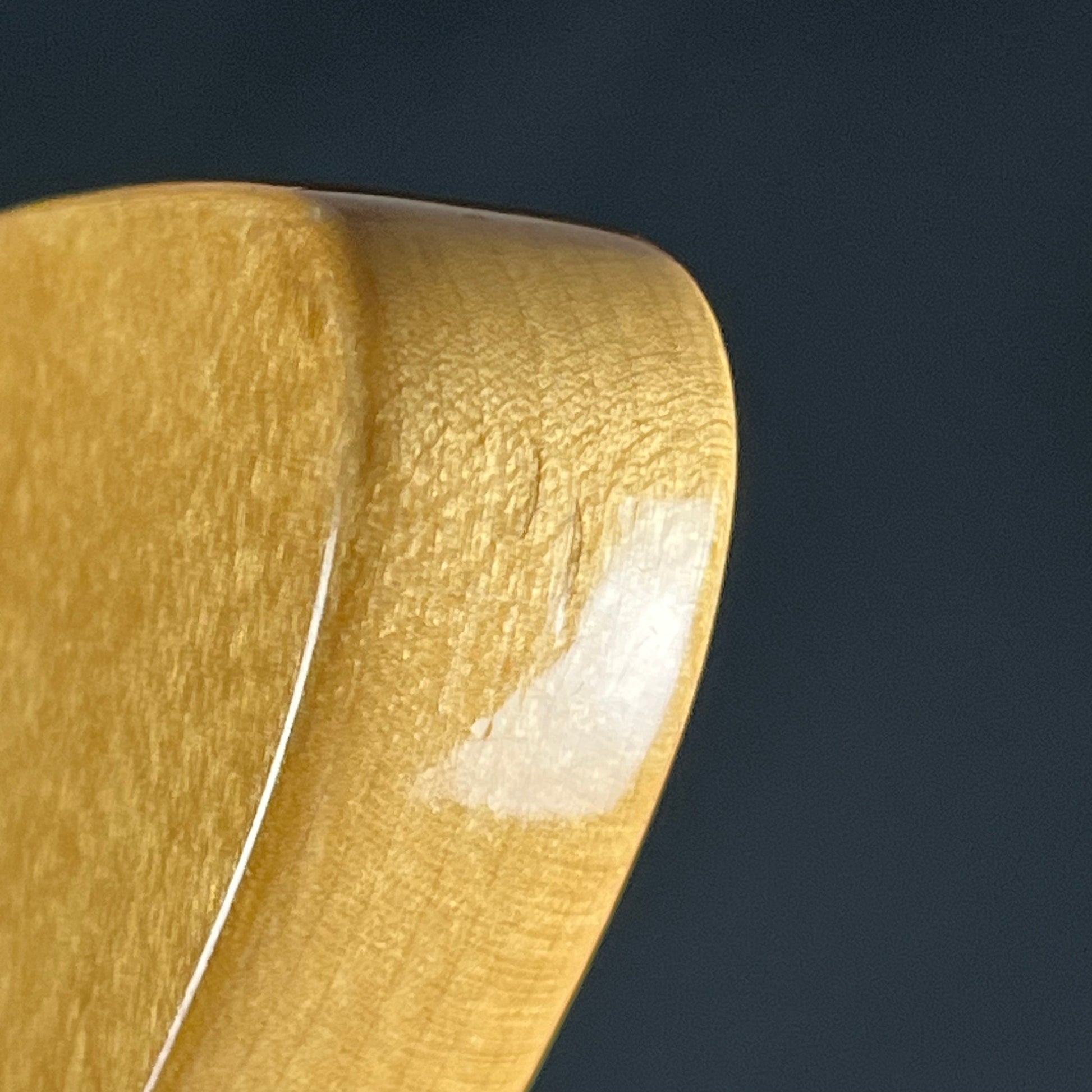 Fernandes Stratocaster