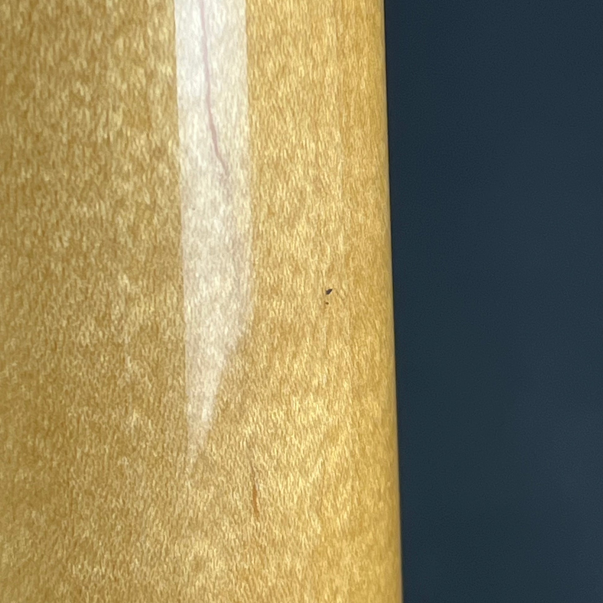 Fernandes Stratocaster