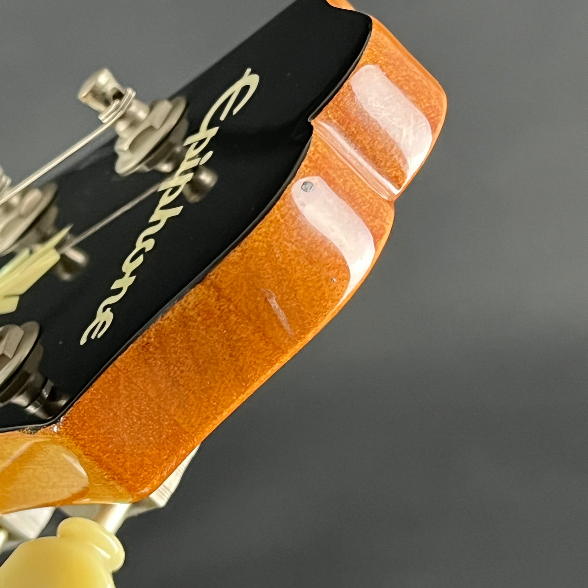 Epiphone ES-339 NA
