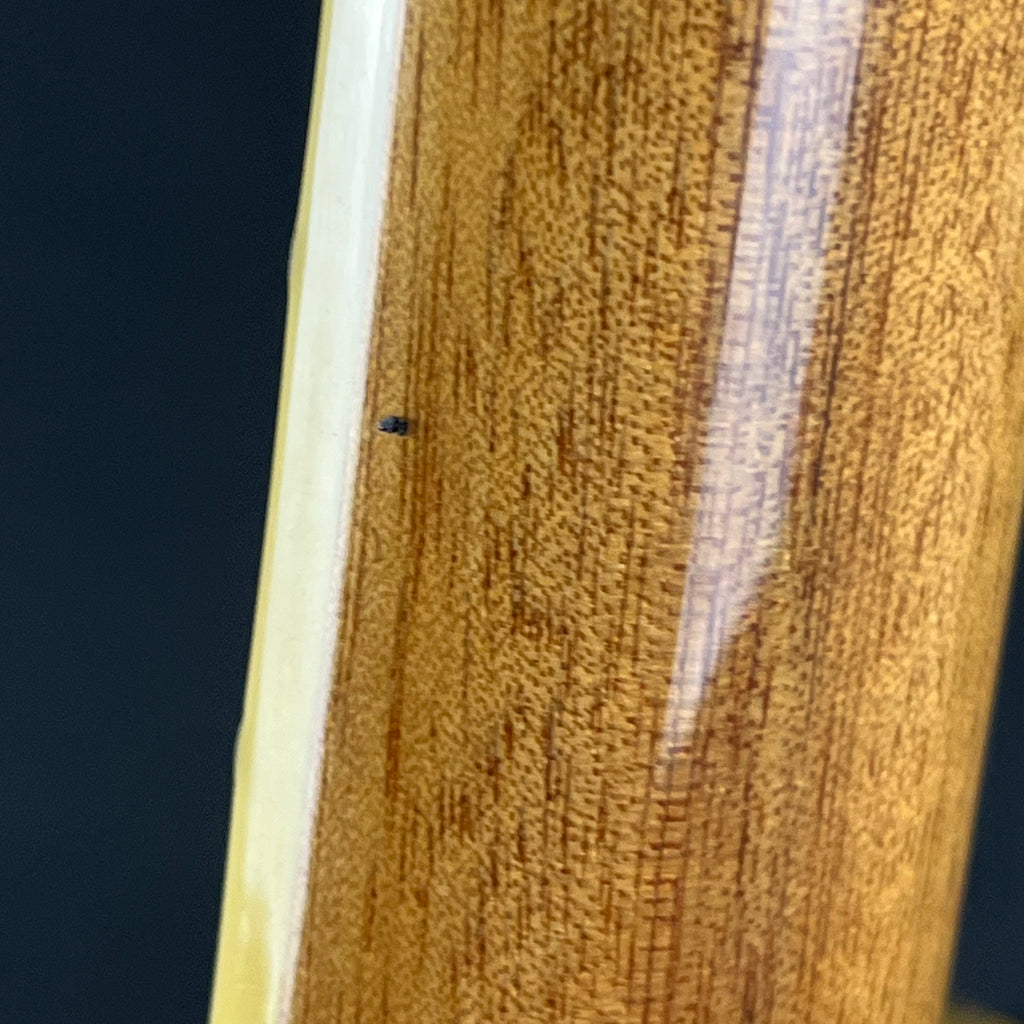 Epiphone ES-339 NA