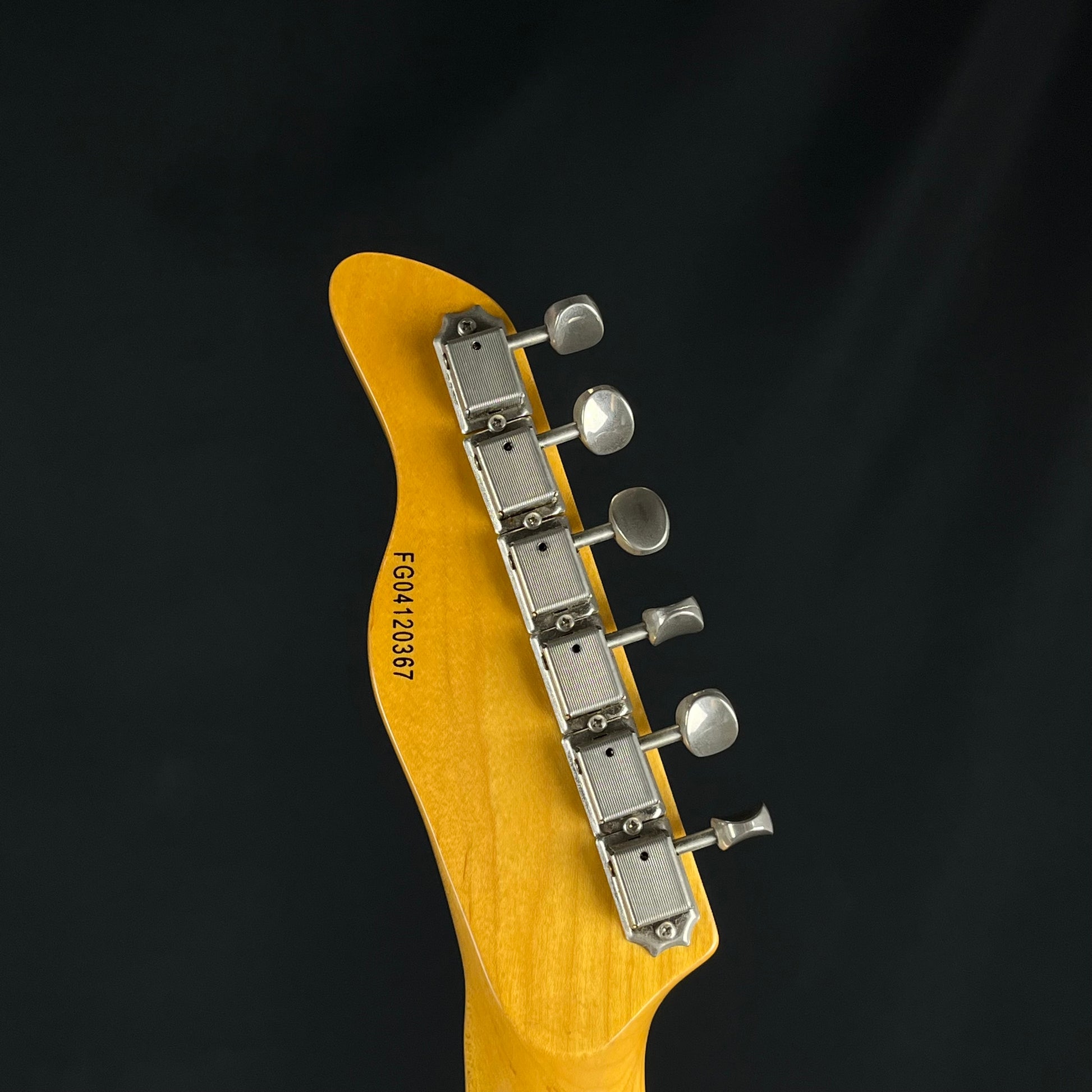 FERNANDES Telecaster