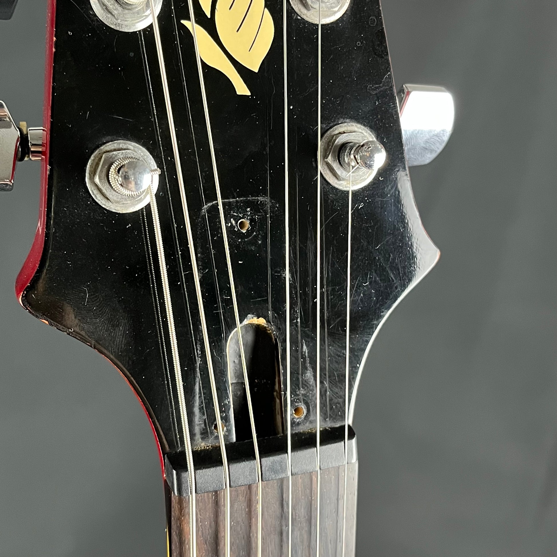 Aria Pro II PE-40