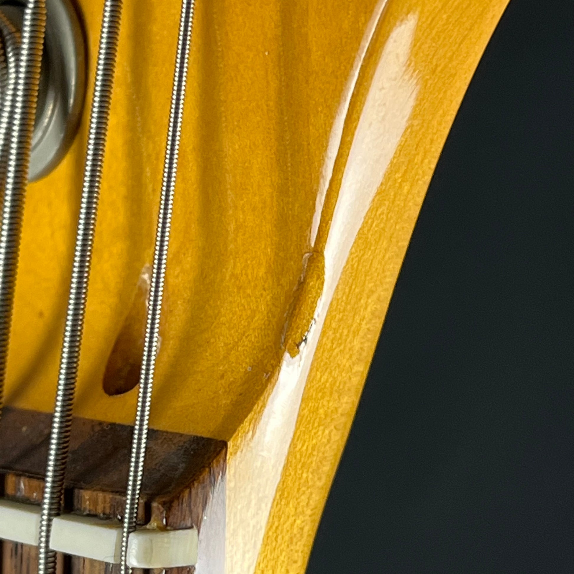 Fernandes Precision Bass