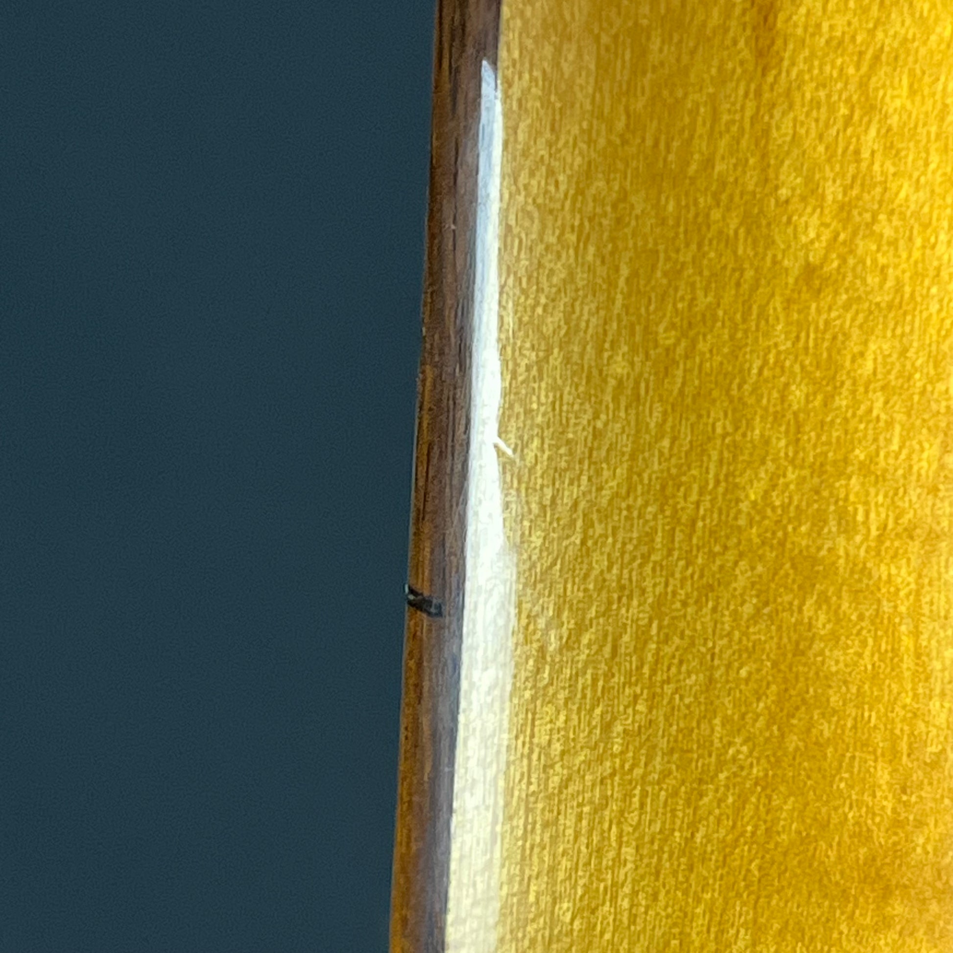 Fernandes Precision Bass