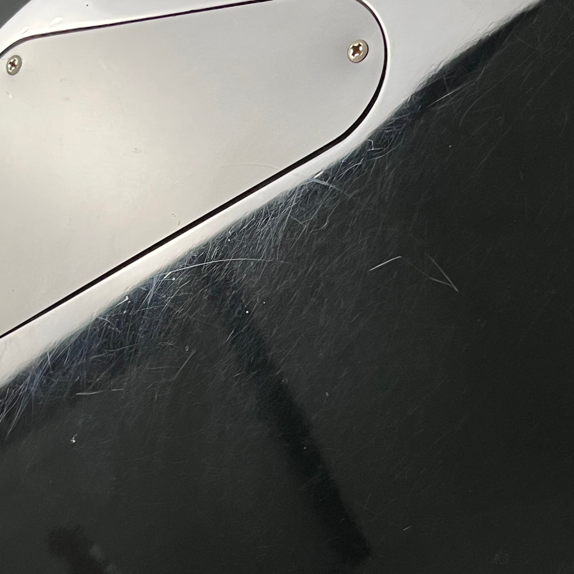 SCHECTER Tempest Standard