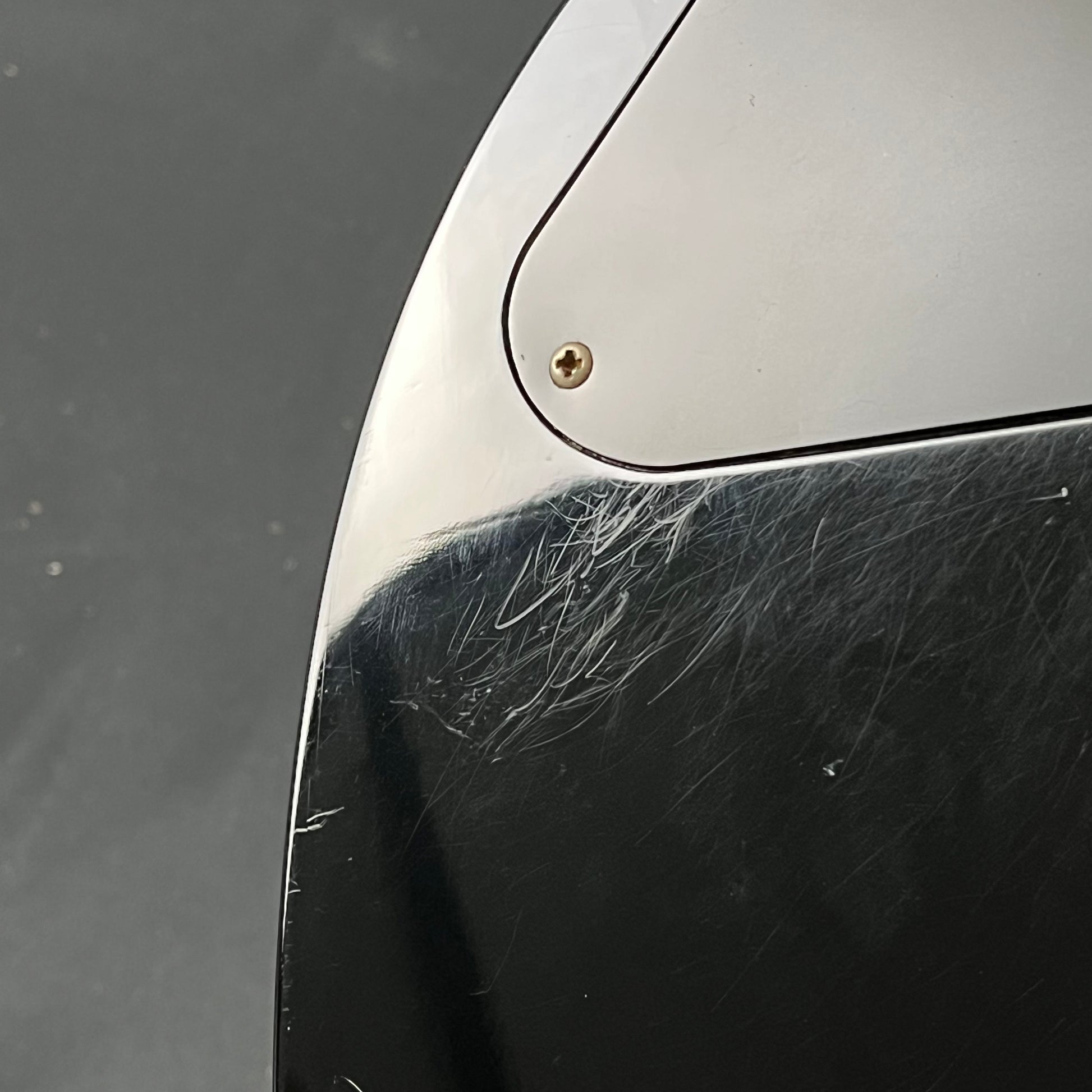 SCHECTER Tempest Standard