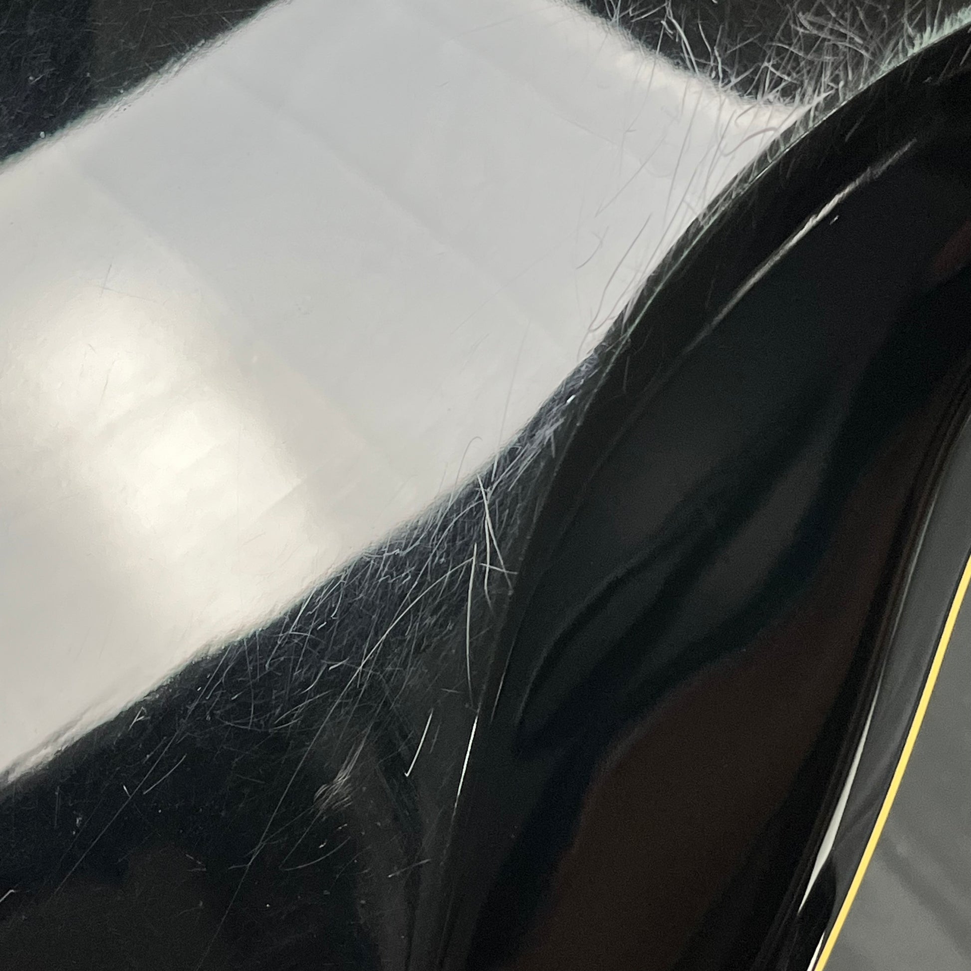 SCHECTER Tempest Standard