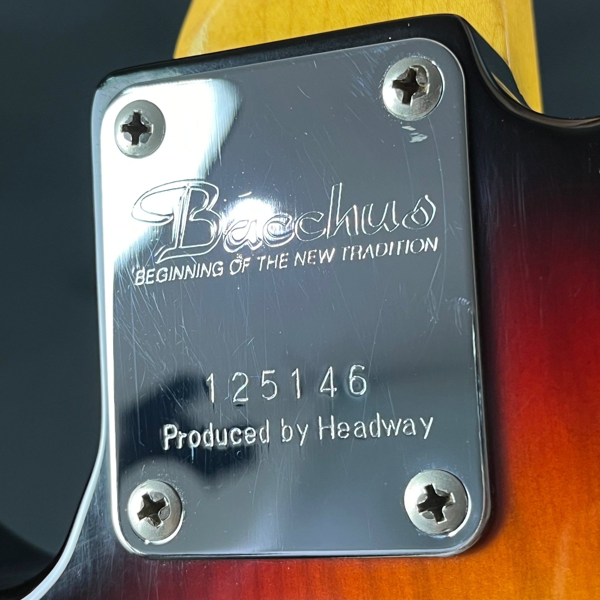 Bacchus Japan Telecaster Thinline * Mod *