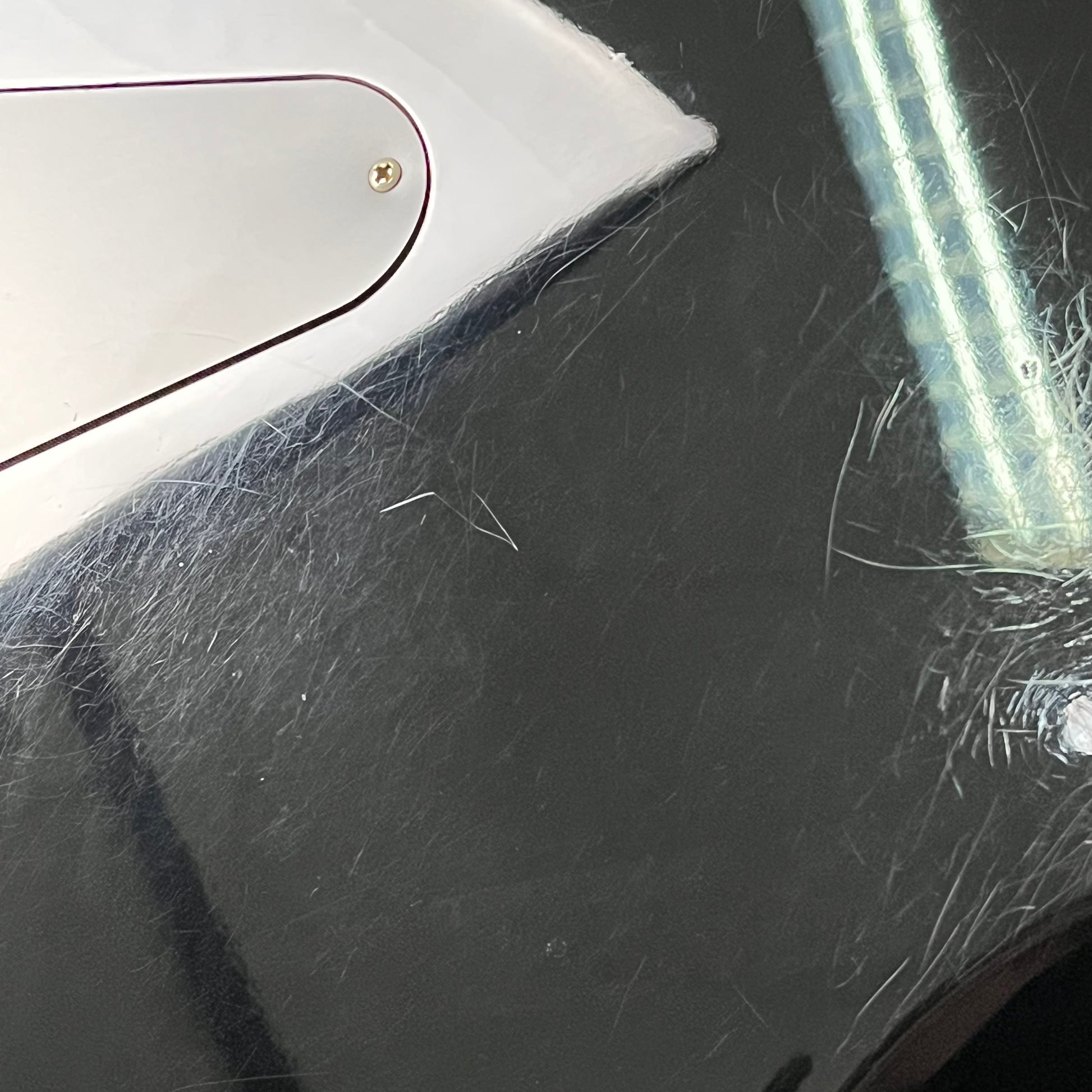 SCHECTER Tempest Standard