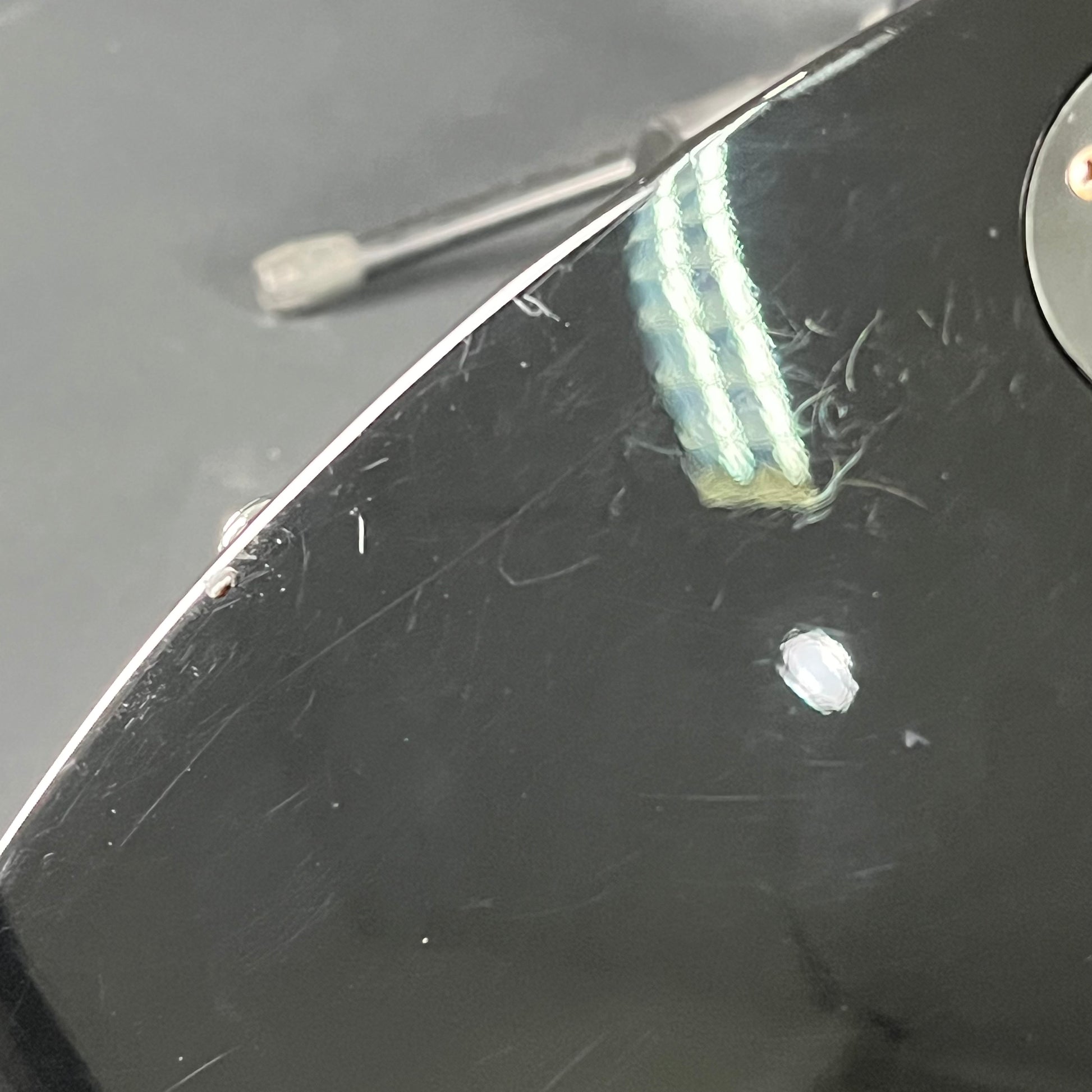 SCHECTER Tempest Standard