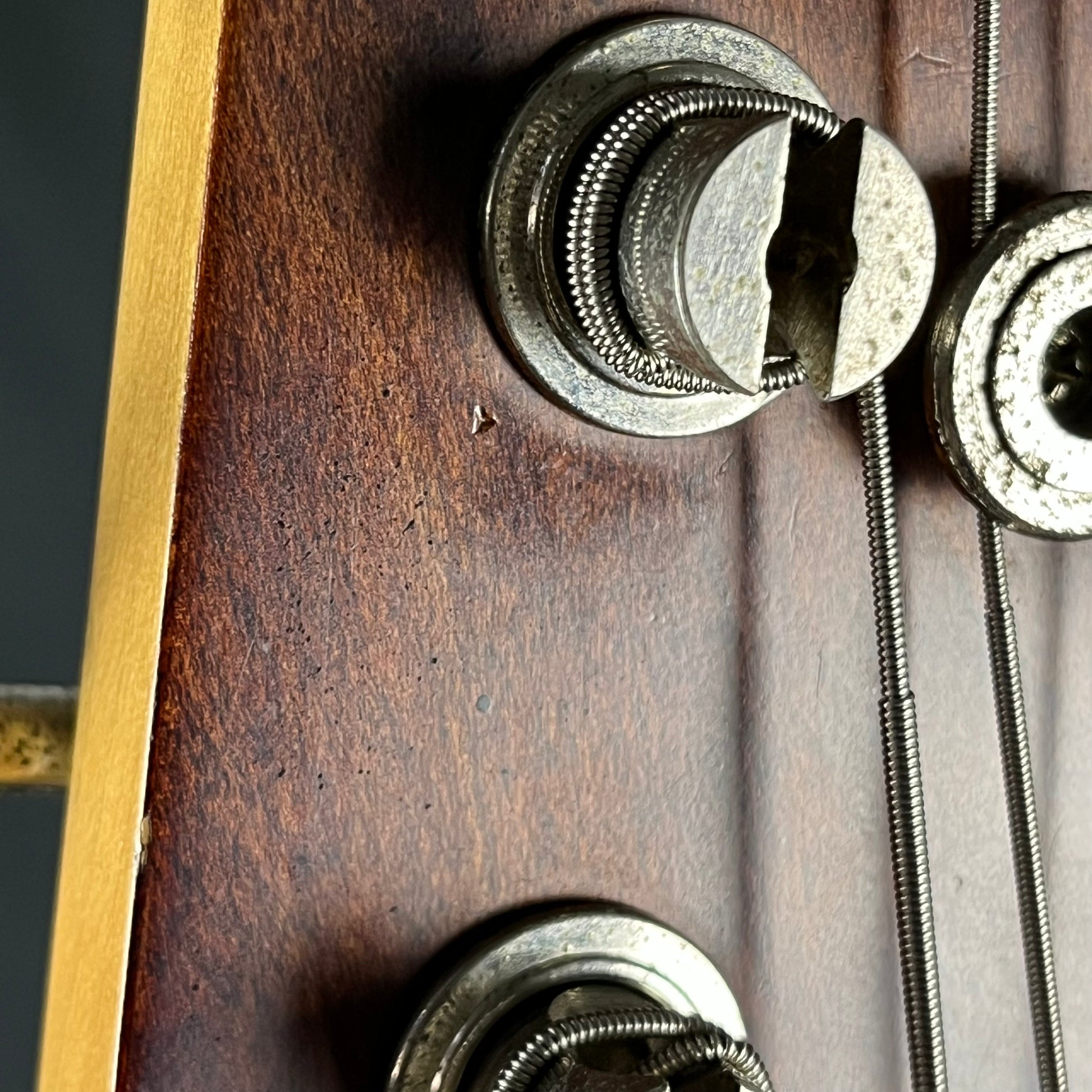 Bacchus WL-434 Bass