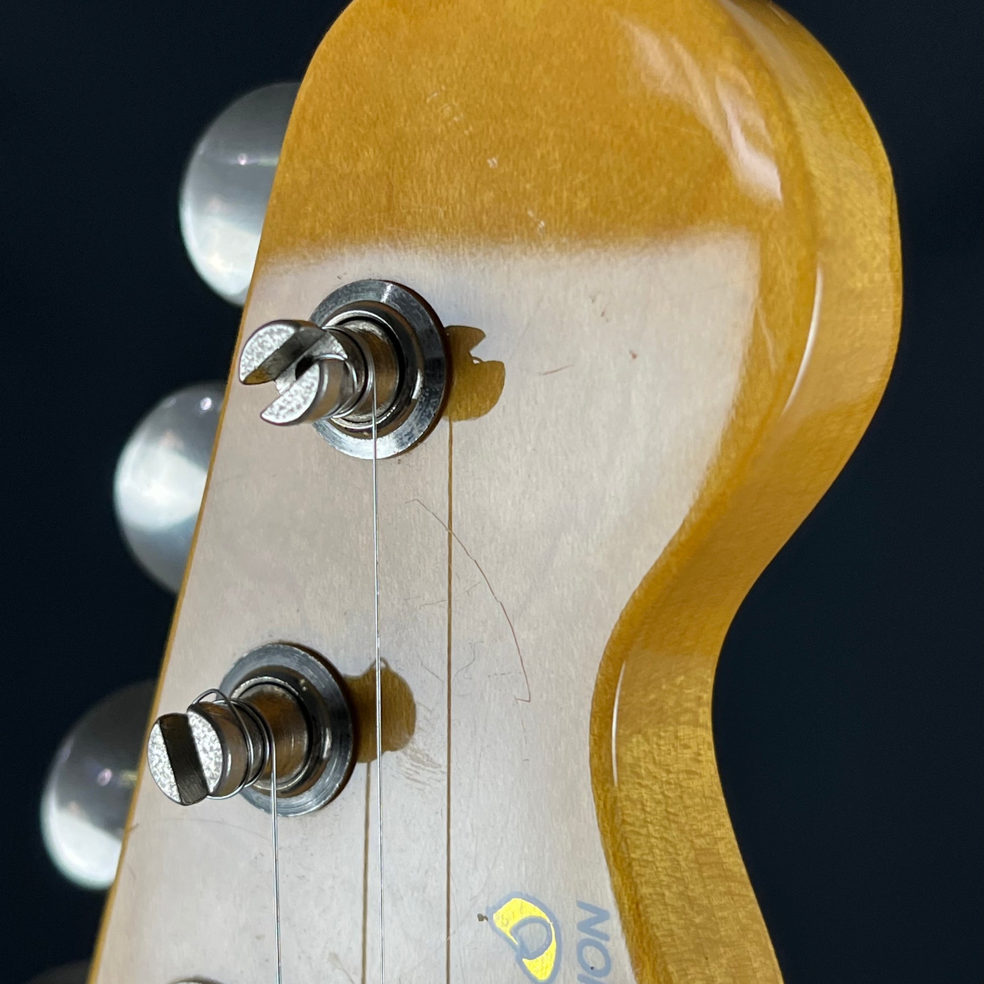 Bacchus Japan Telecaster Thinline * Mod *