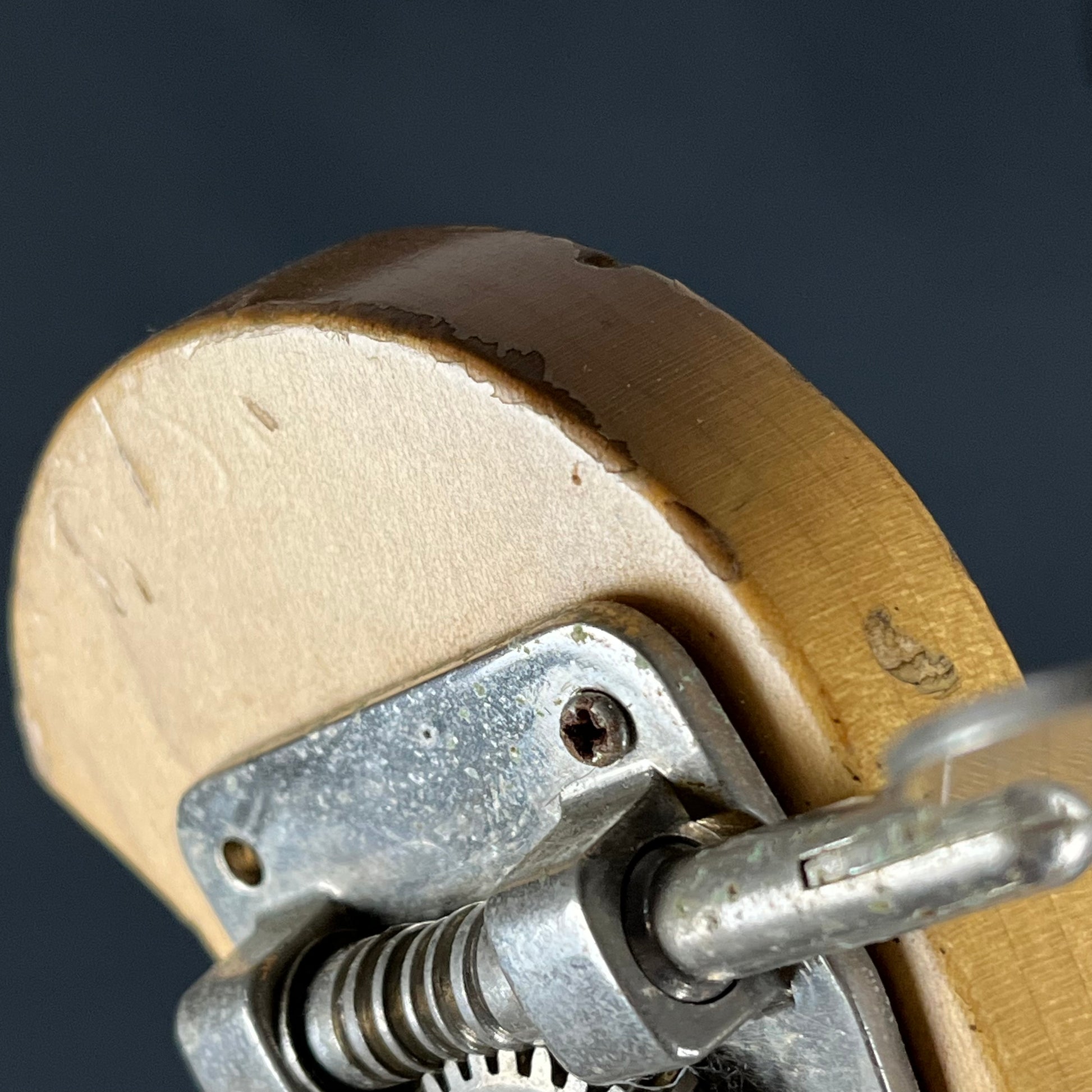 Bacchus WL-434 Bass