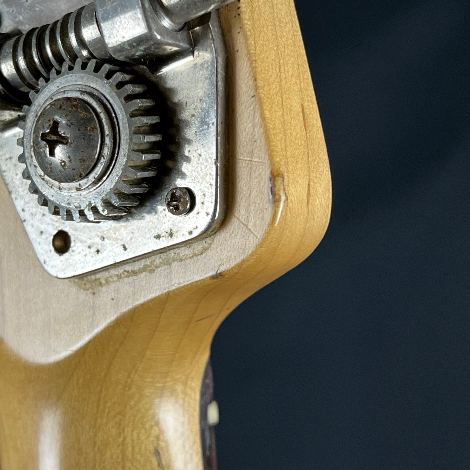 Bacchus WL-434 Bass