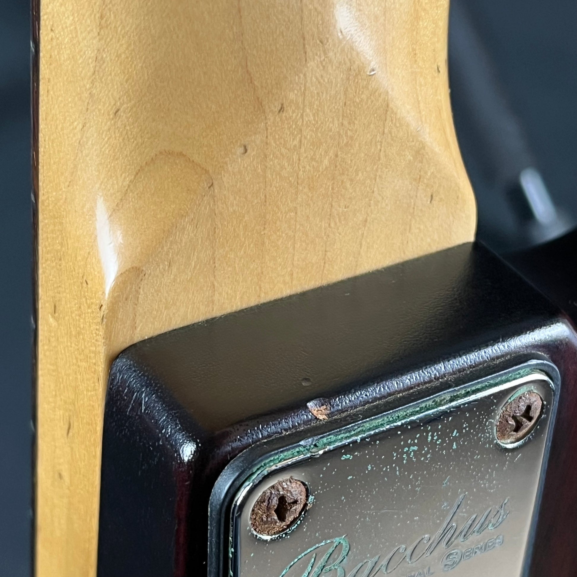 Bacchus WL-434 Bass