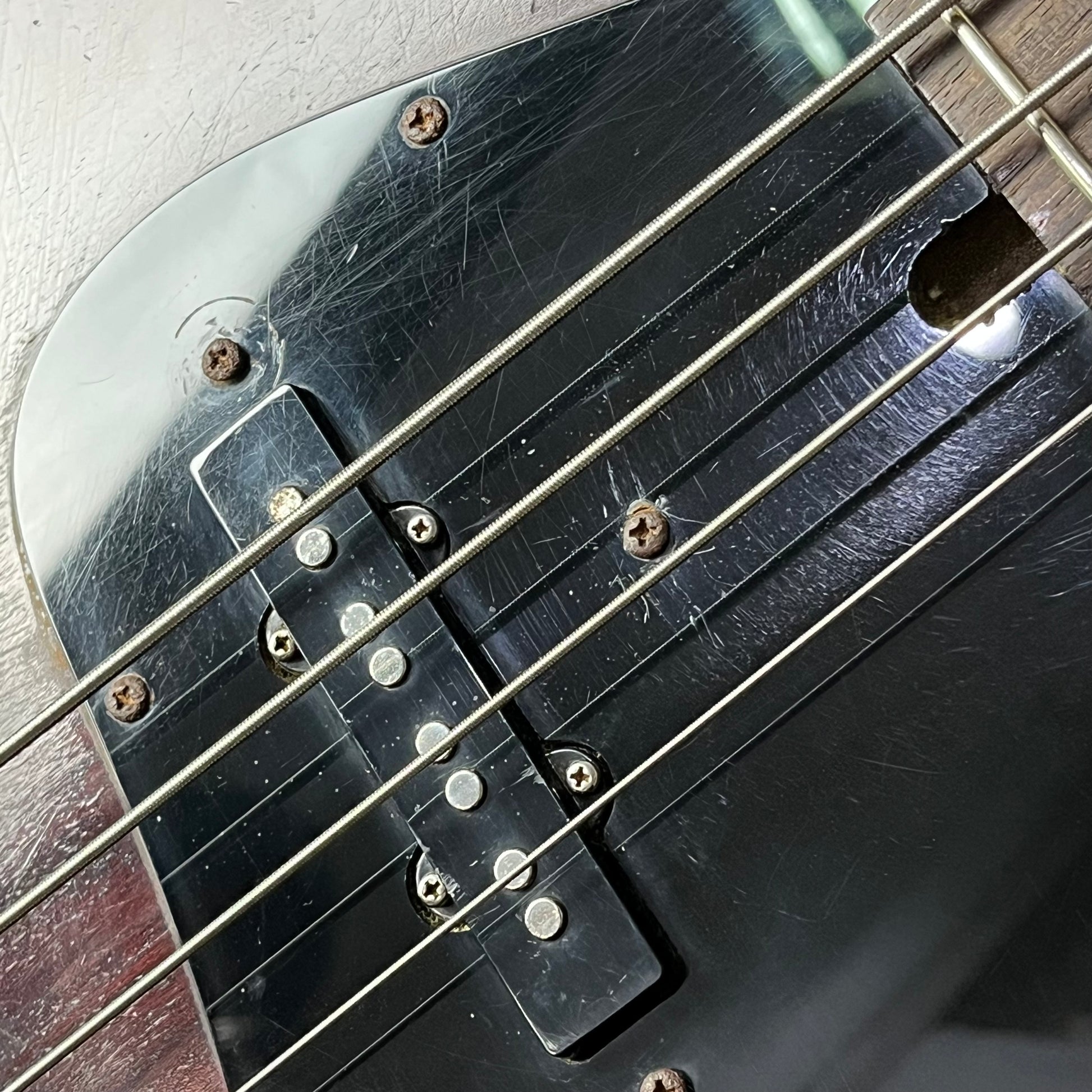 Bacchus WL-434 Bass