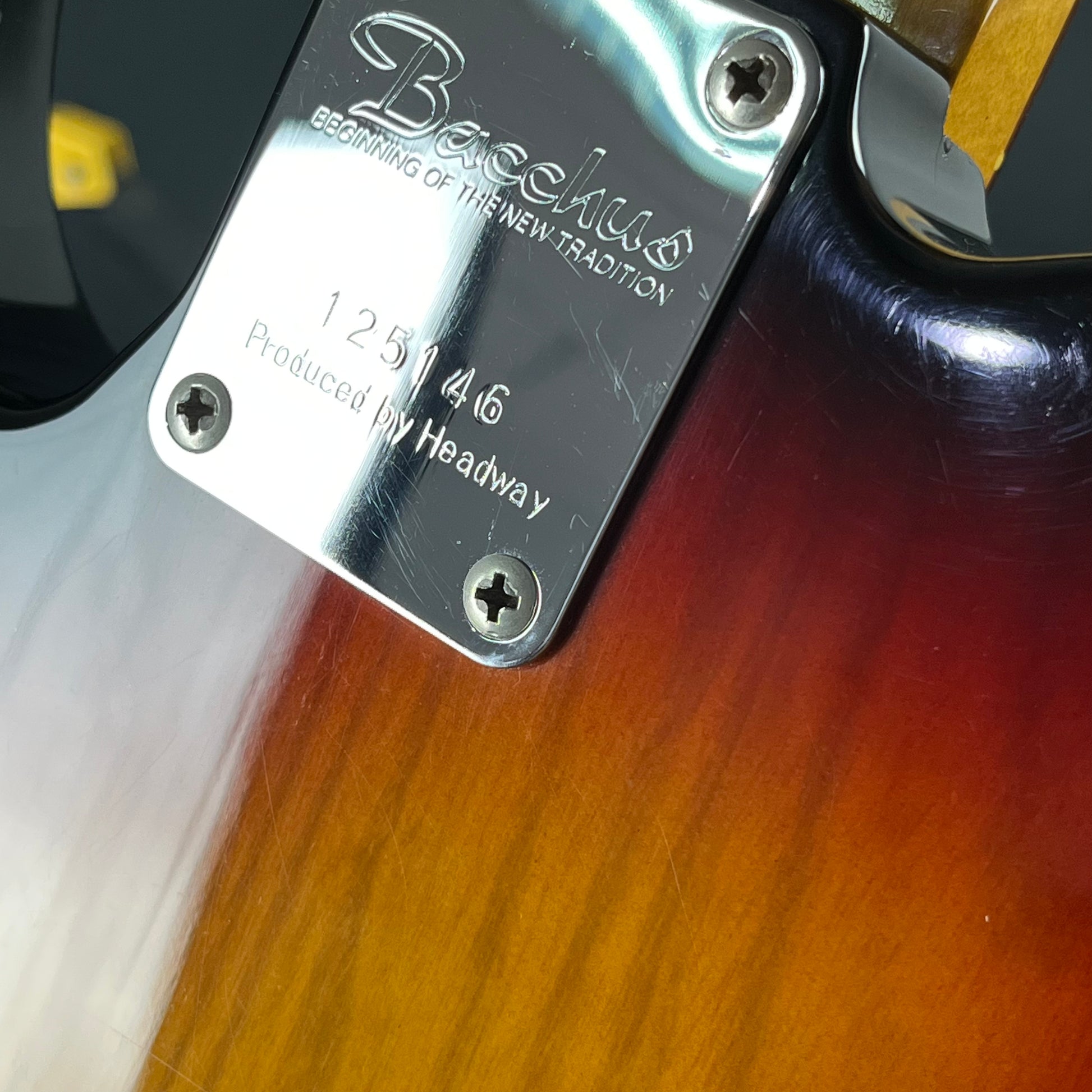 Bacchus Japan Telecaster Thinline * Mod *
