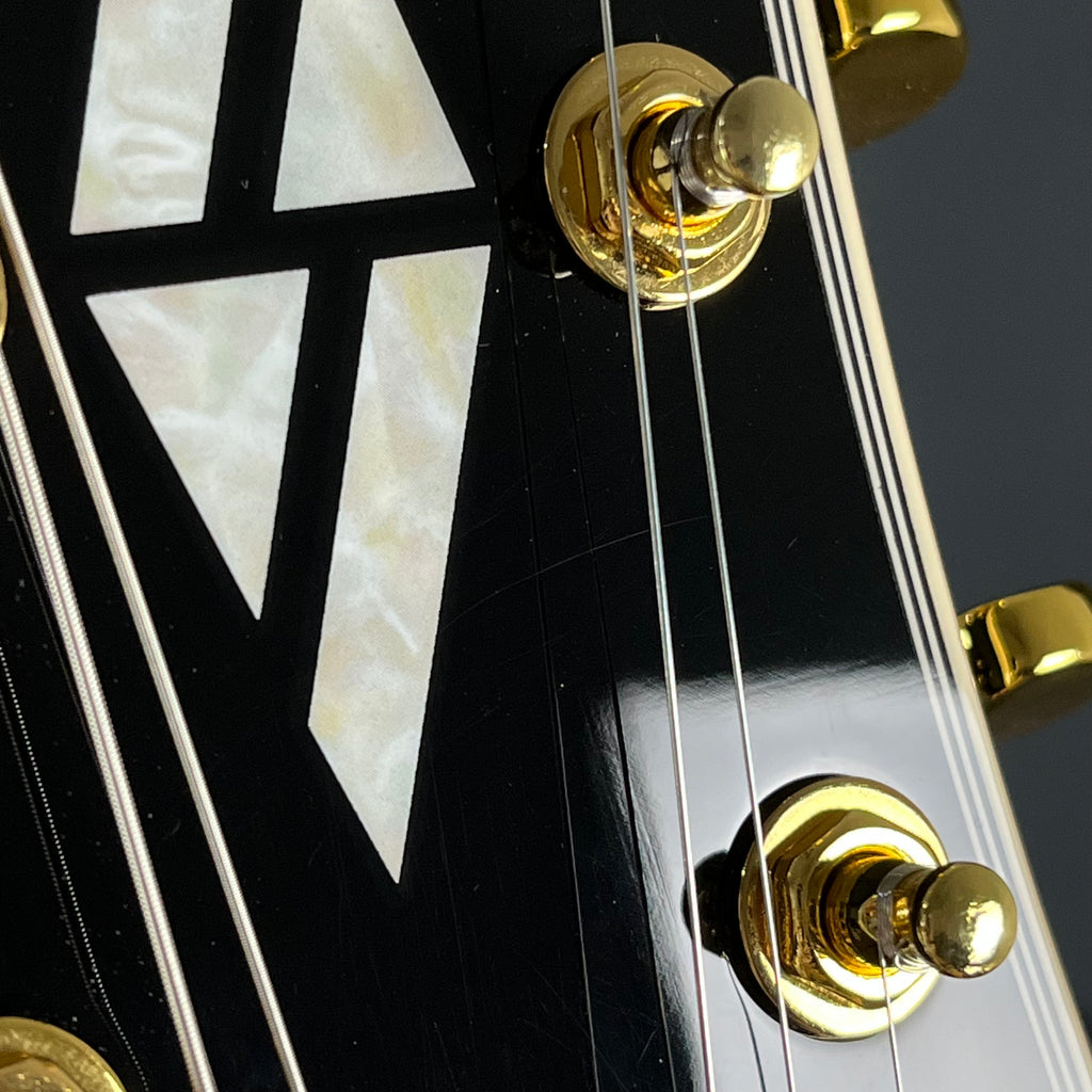BUSKER’S Les Paul BLC-500/BLK