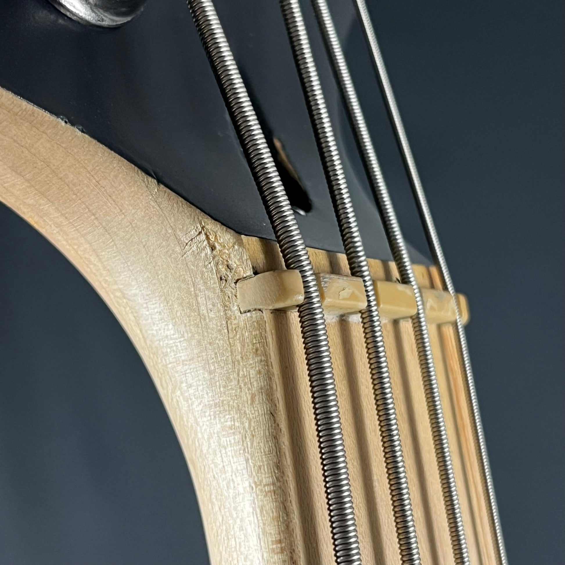 Squier Contemporary Active Jazz Bass