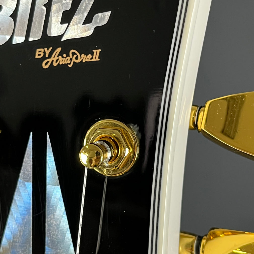 Blitz by Aria Pro II Les Paul Custom