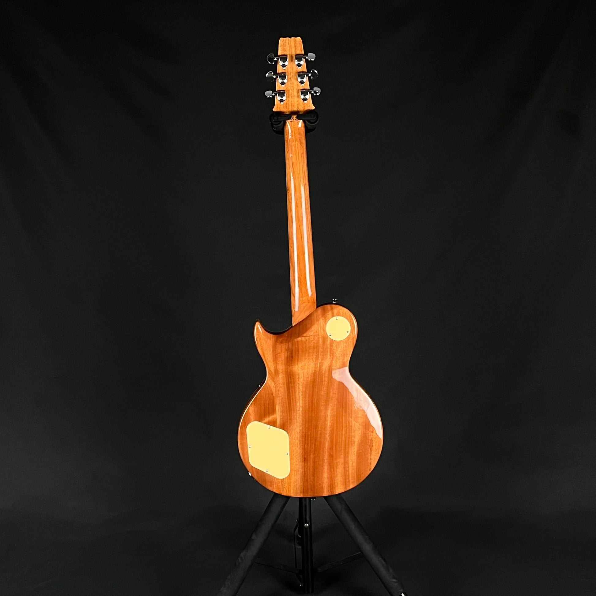 Aria Pro II PE-AE200