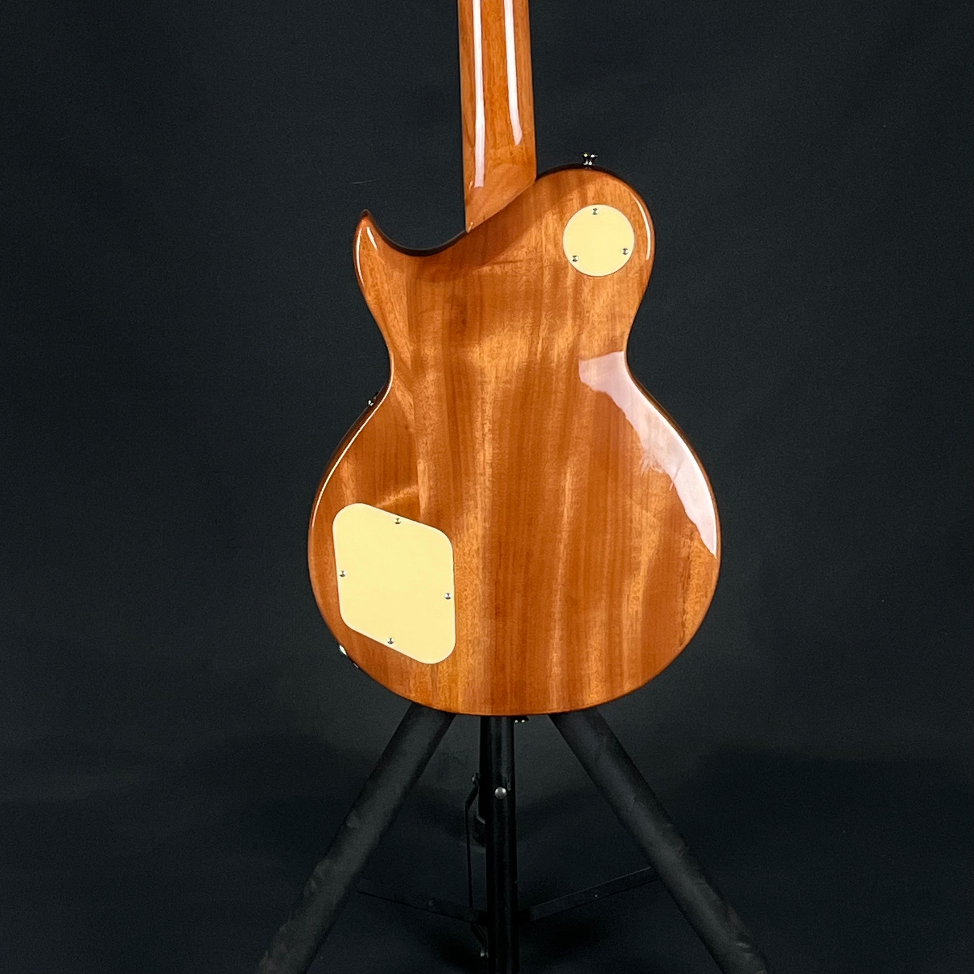 Aria Pro II PE-AE200