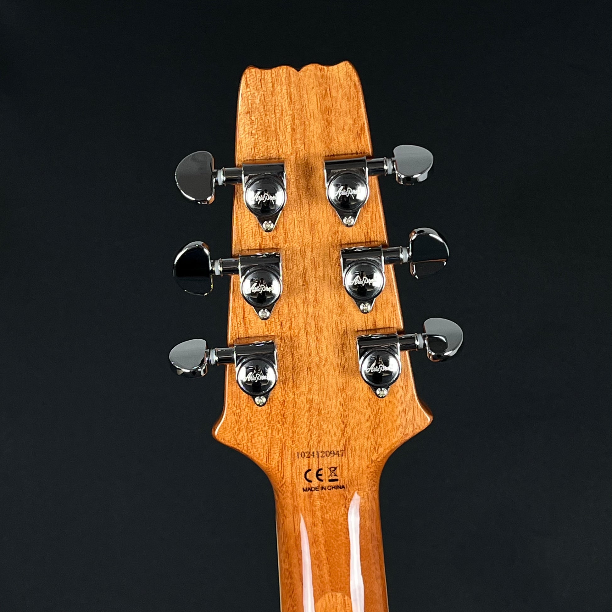 Aria Pro II PE-AE200