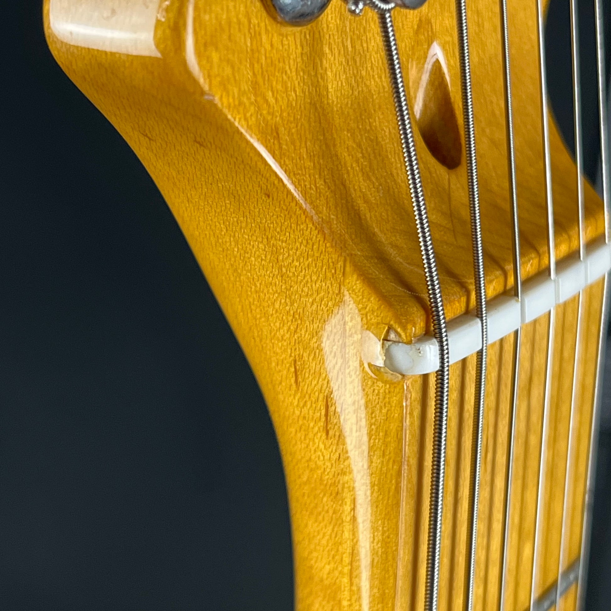 Fernandes Stratocaster