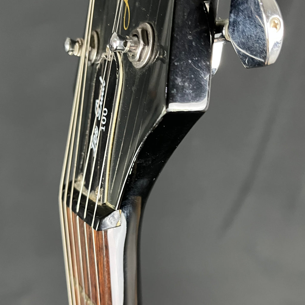 Epiphone Les Paul 100