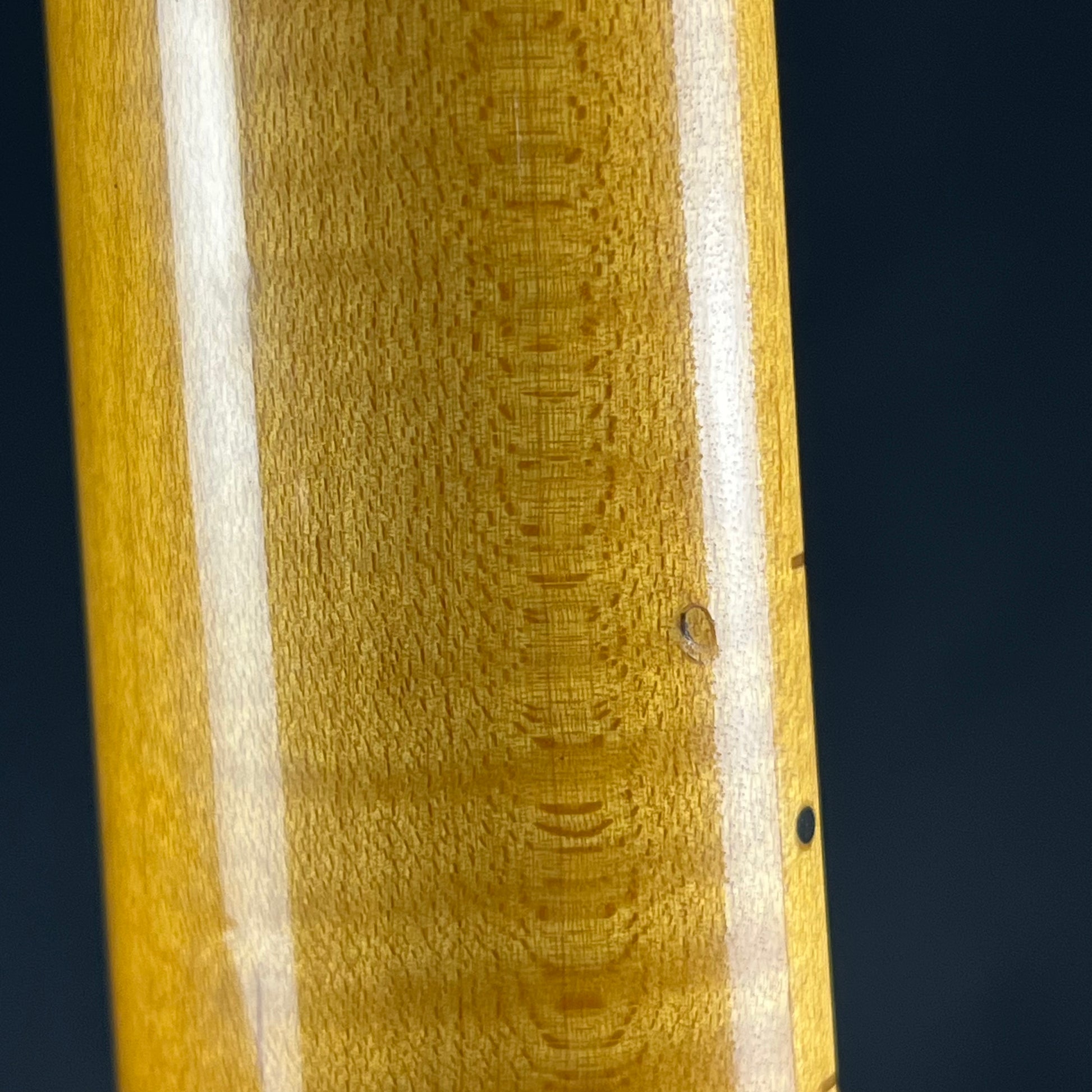 Fernandes Stratocaster