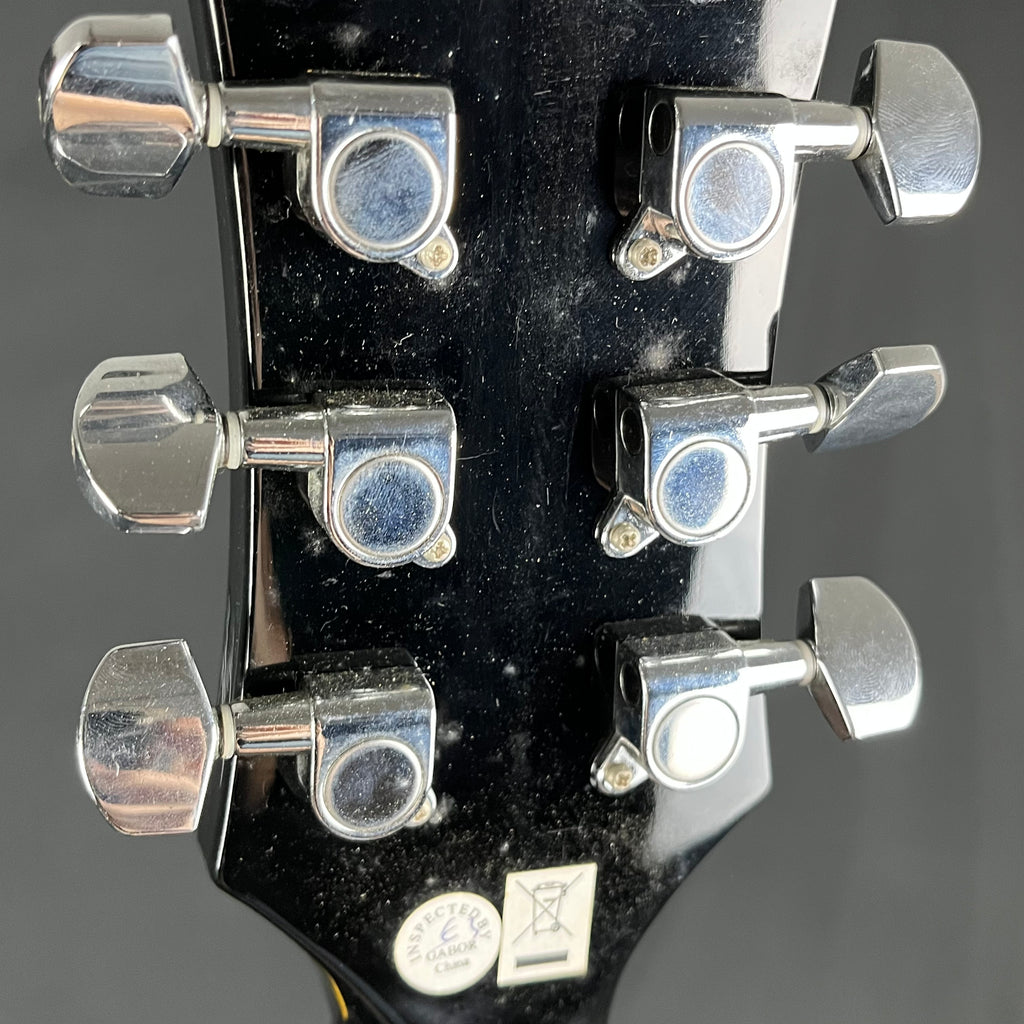Epiphone Les Paul 100
