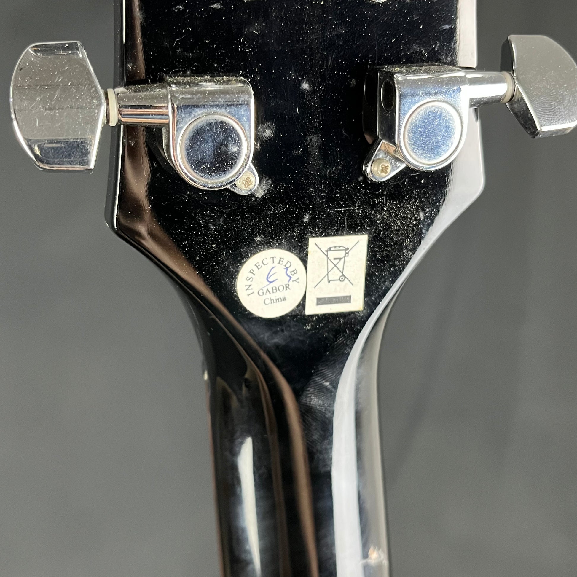 Epiphone Les Paul 100