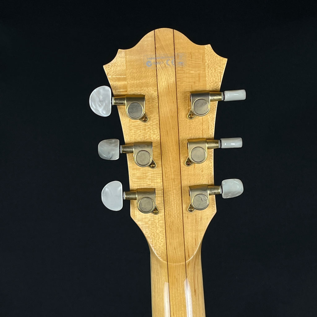 Ibanez AF105-NT