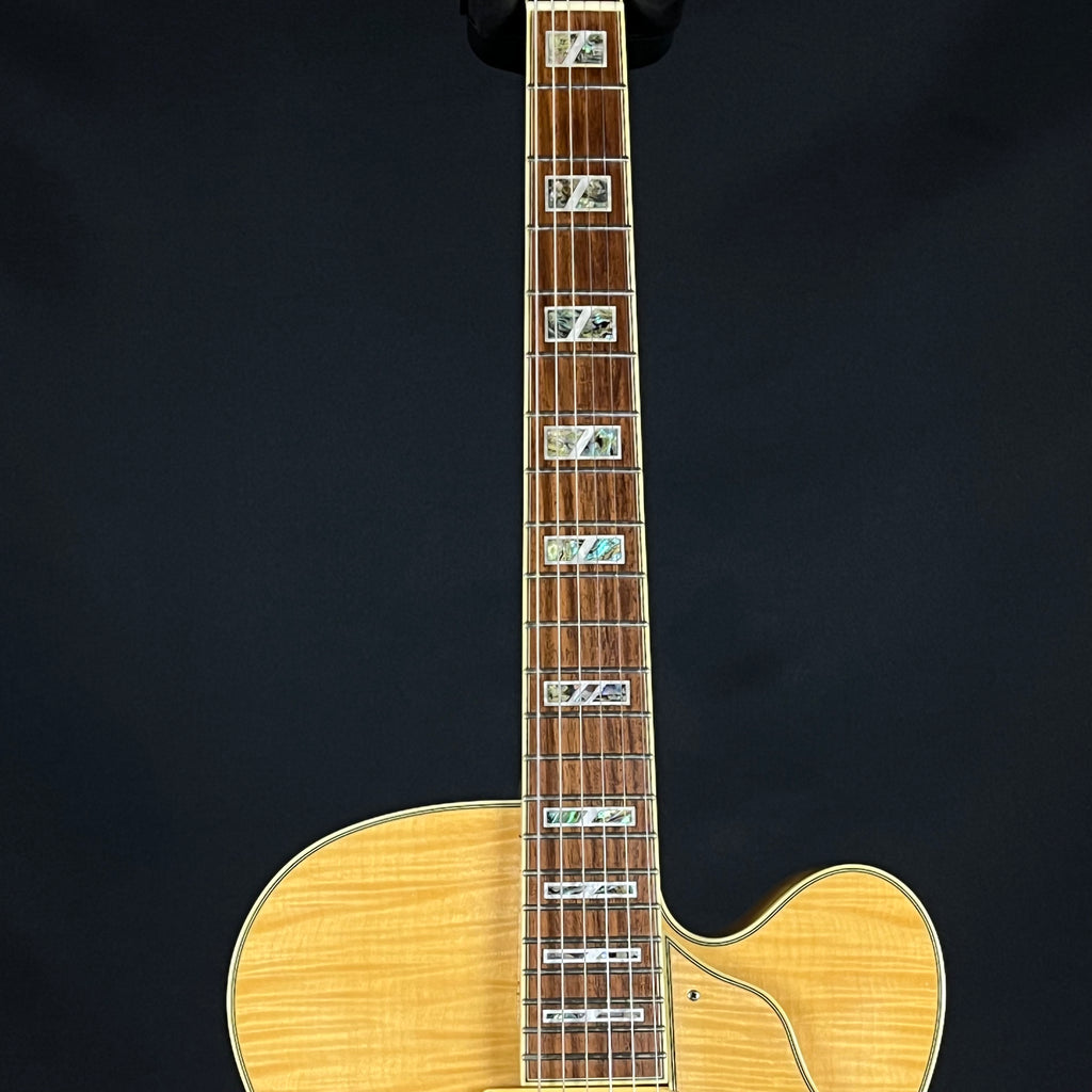 Ibanez AF105-NT